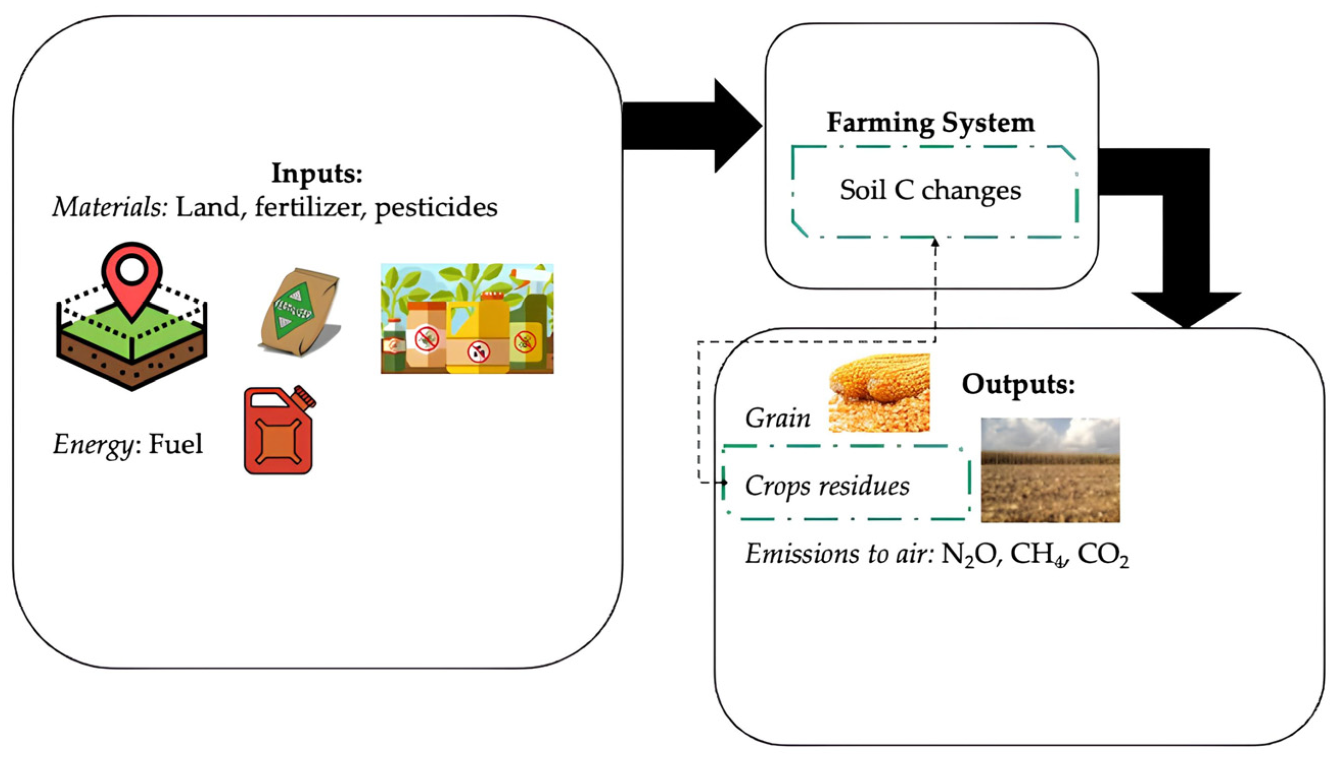 Agronomy 15 00267 g001