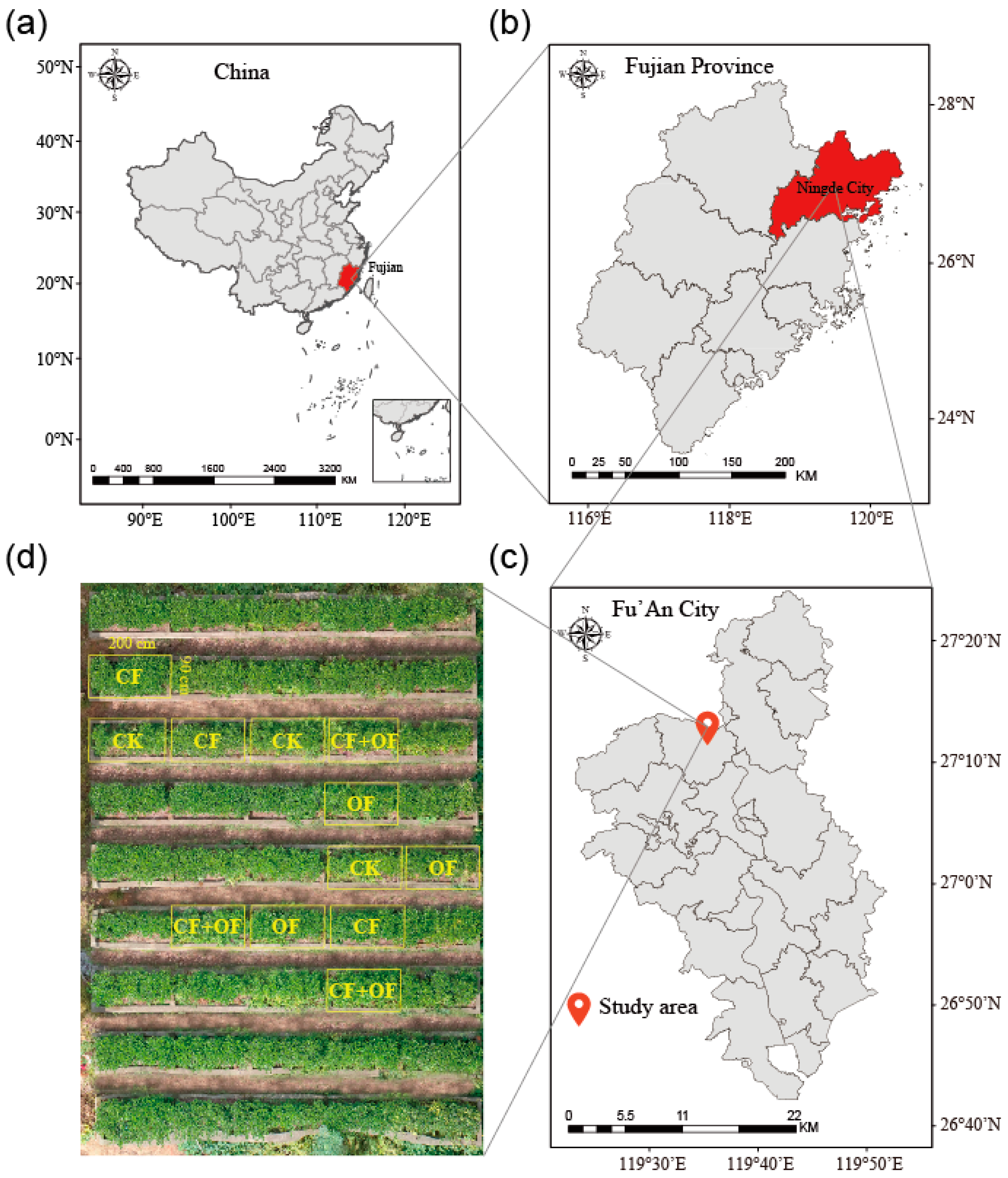 Agronomy 15 00288 g001