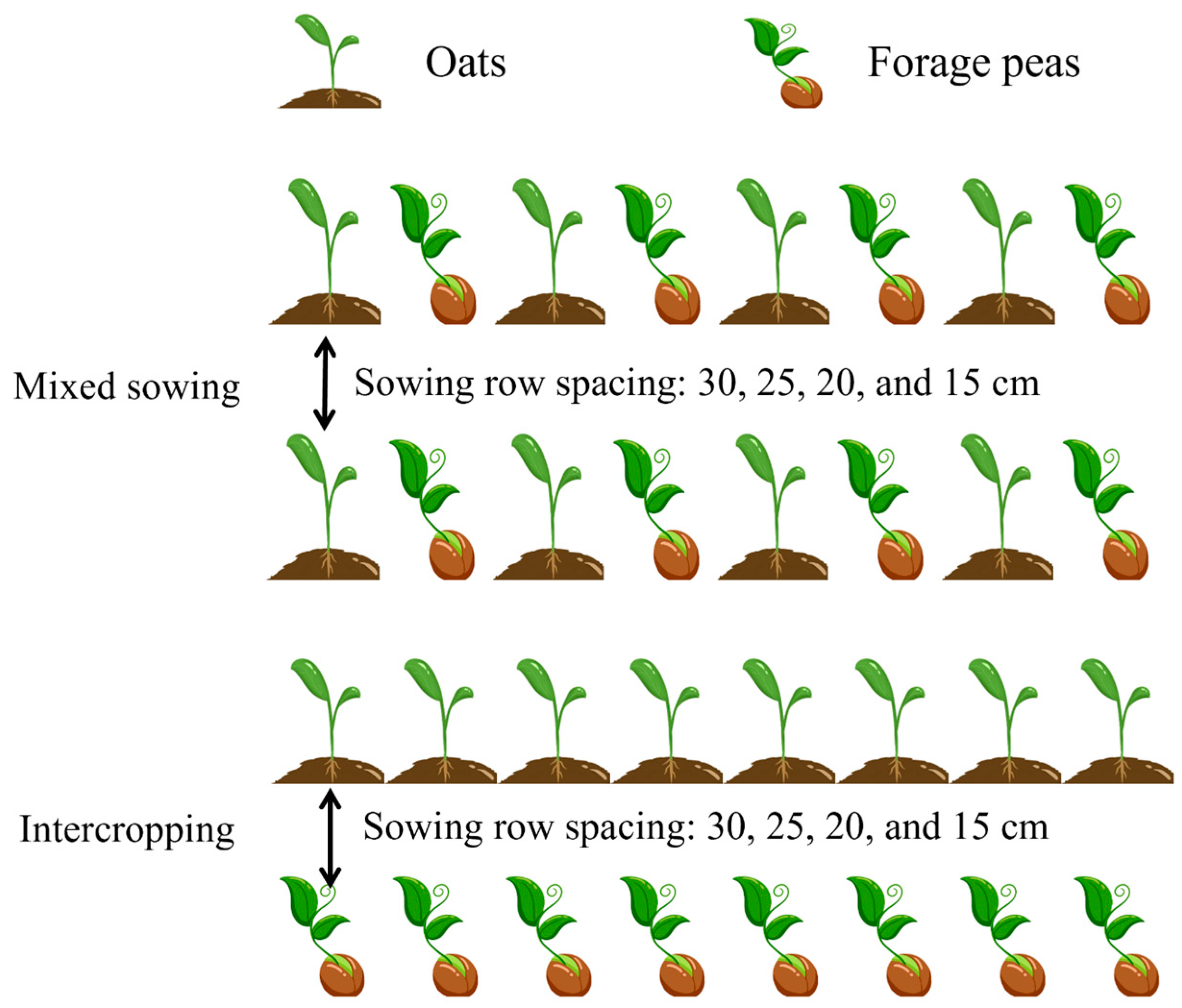 Agronomy 15 00297 g002