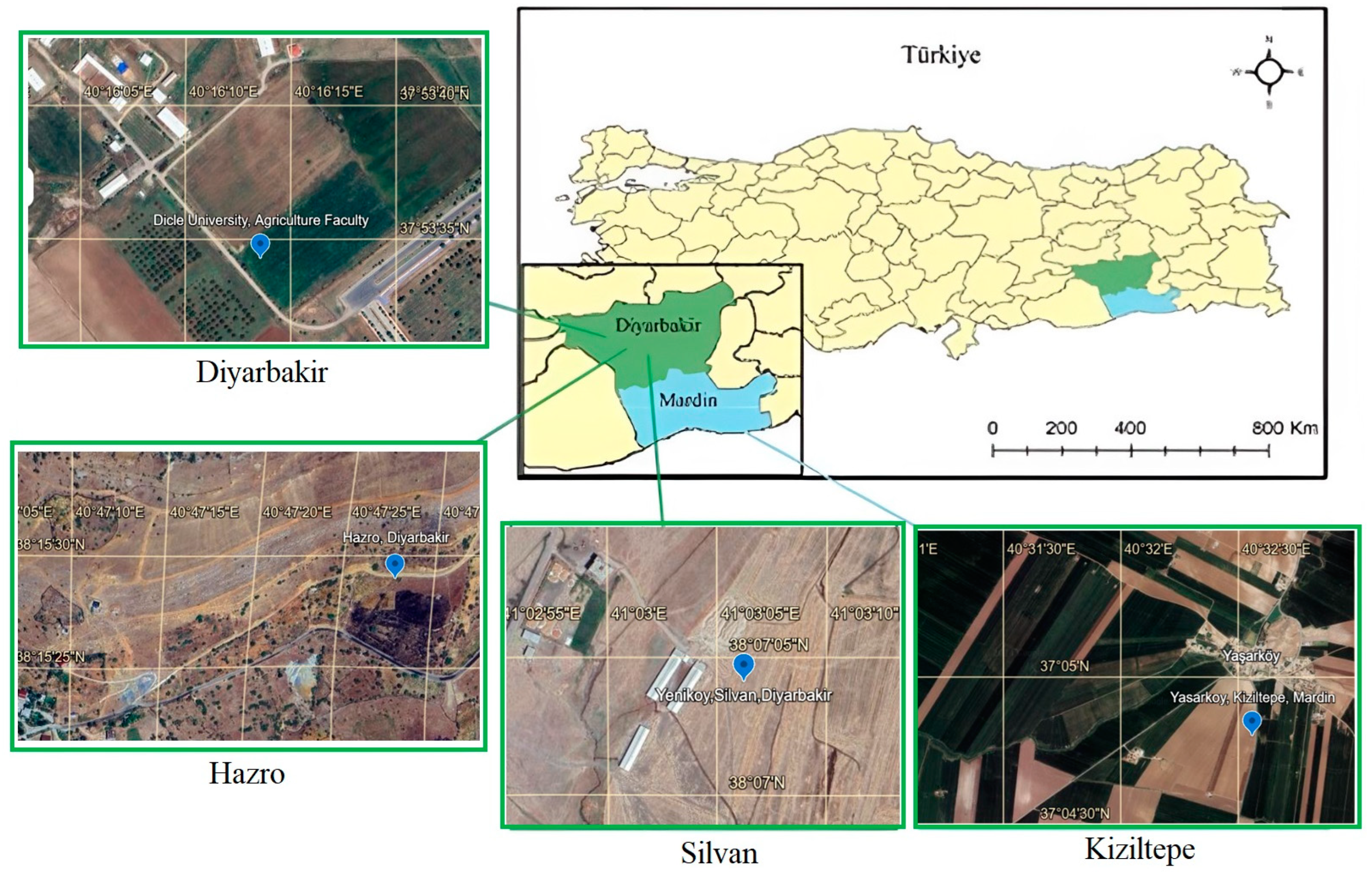 Agronomy 15 00300 g001
