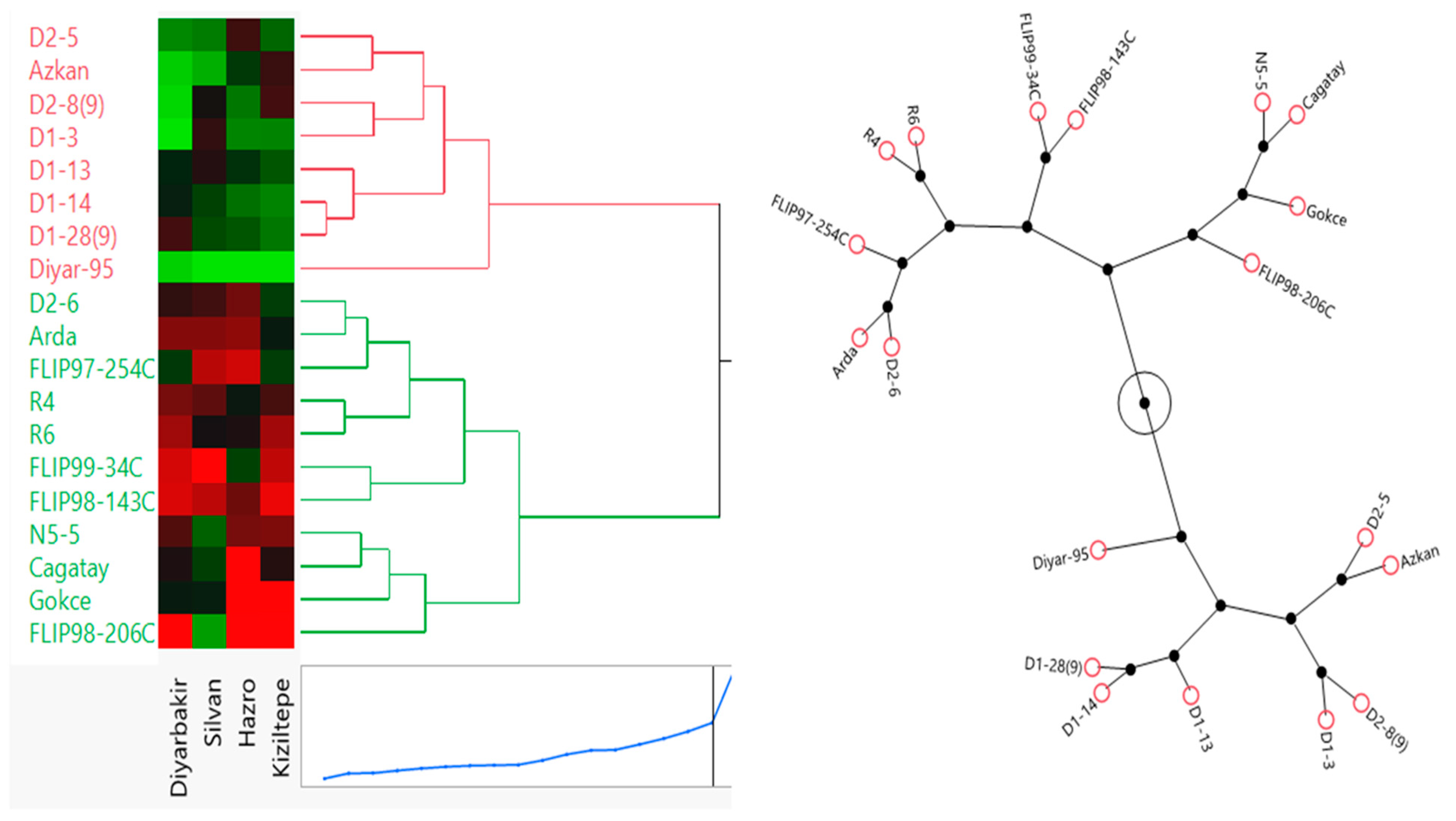 Agronomy 15 00300 g007