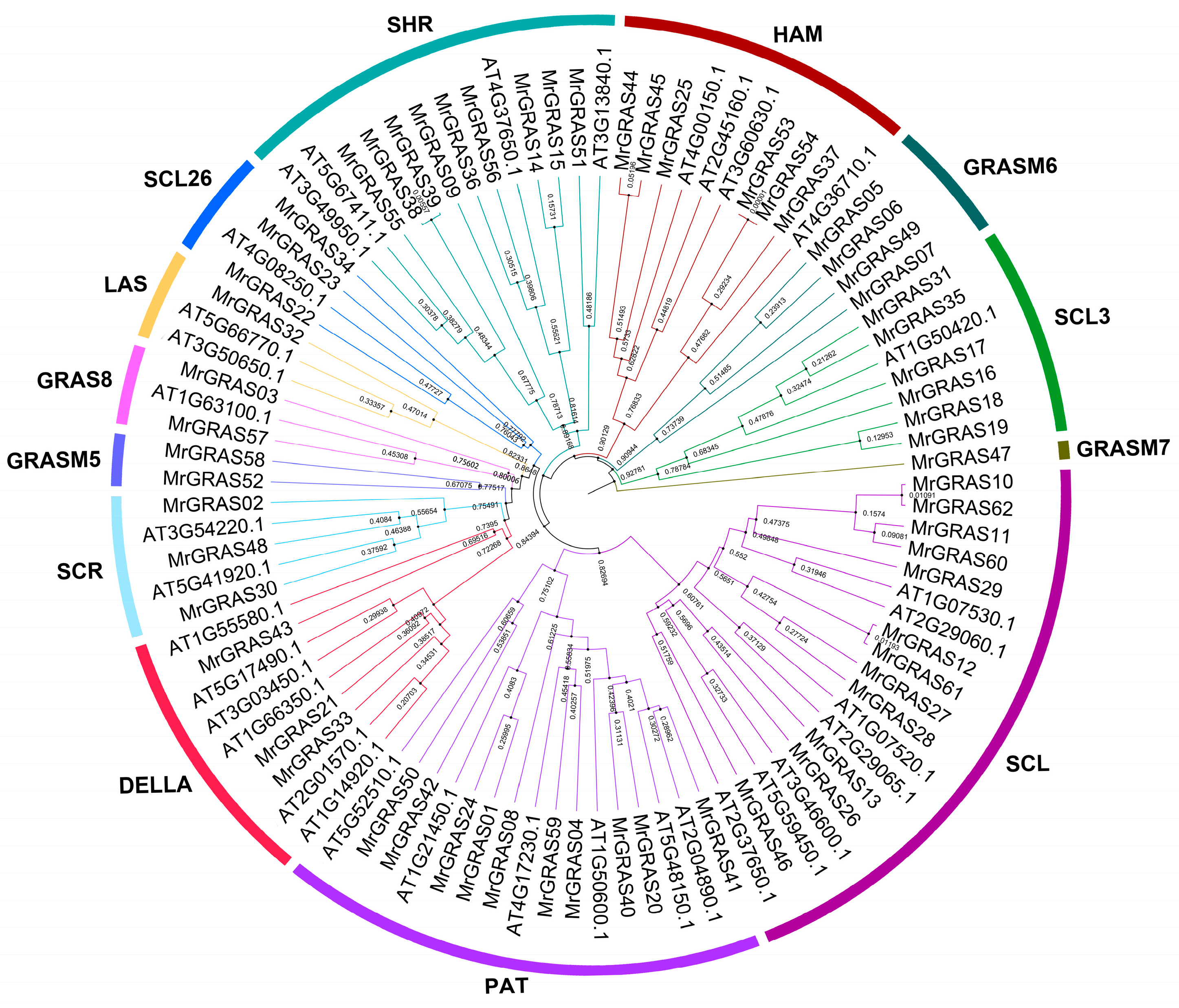 Agronomy 15 00306 g001