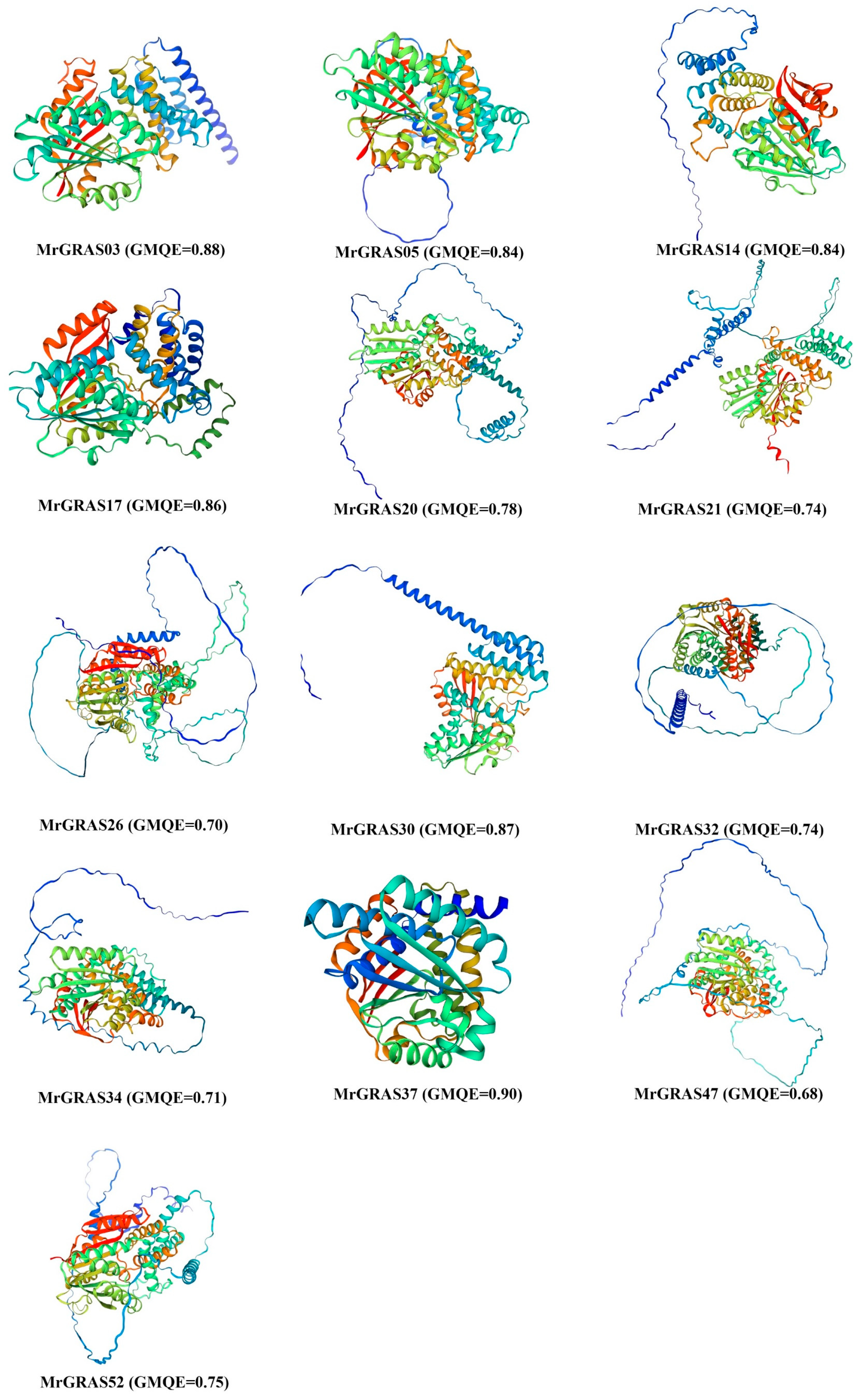 Agronomy 15 00306 g003