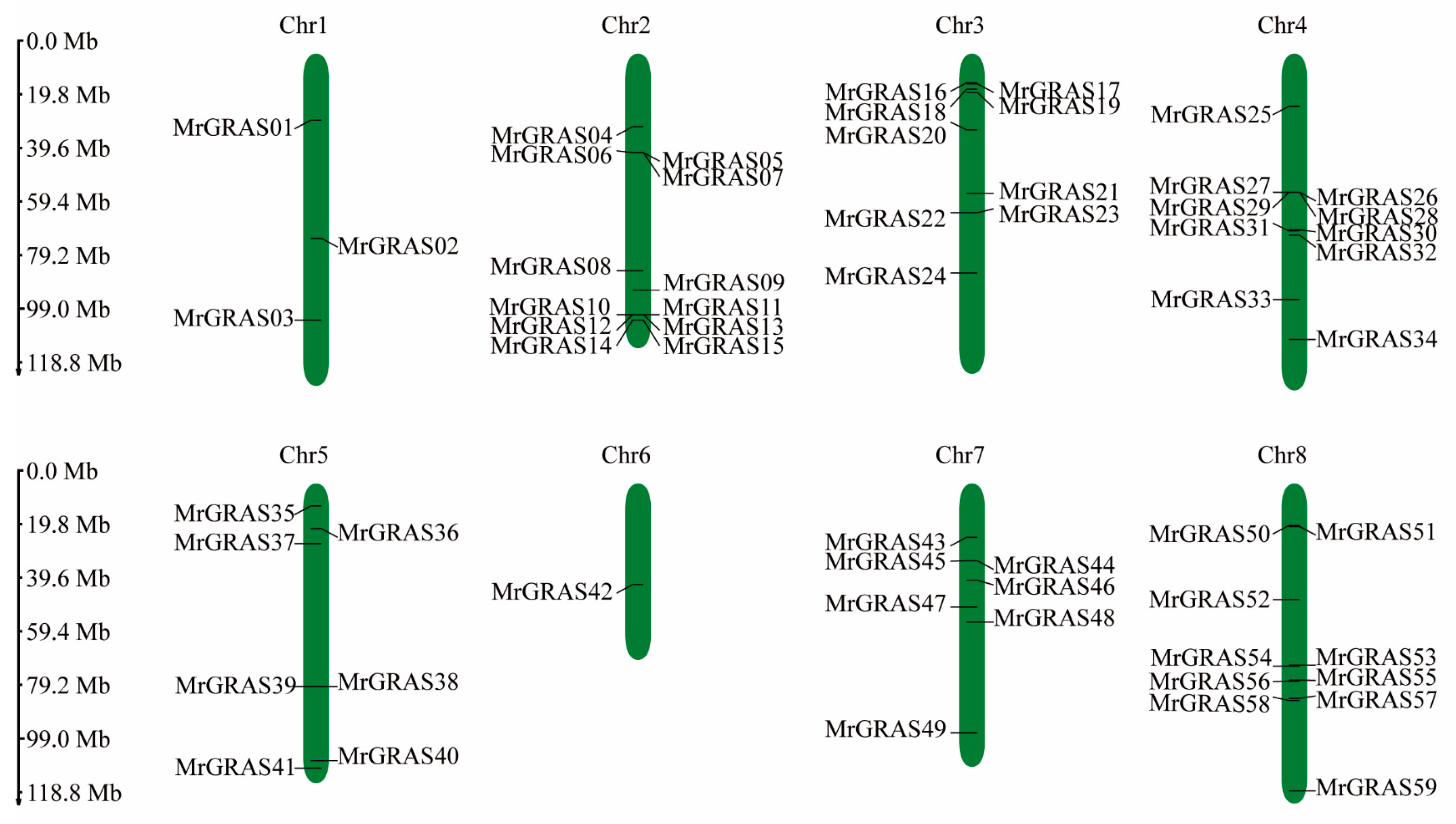 Agronomy 15 00306 g005