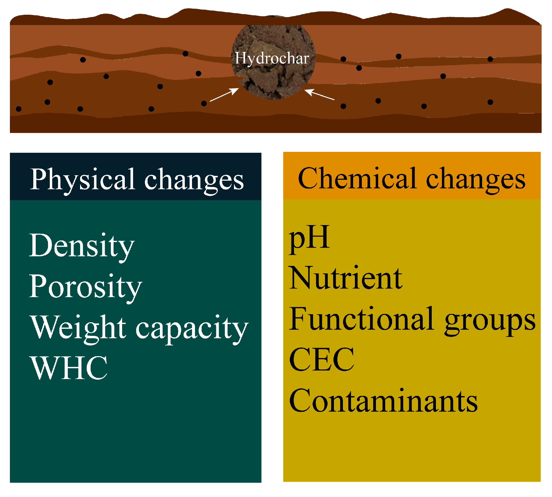 Agronomy 15 00327 g003