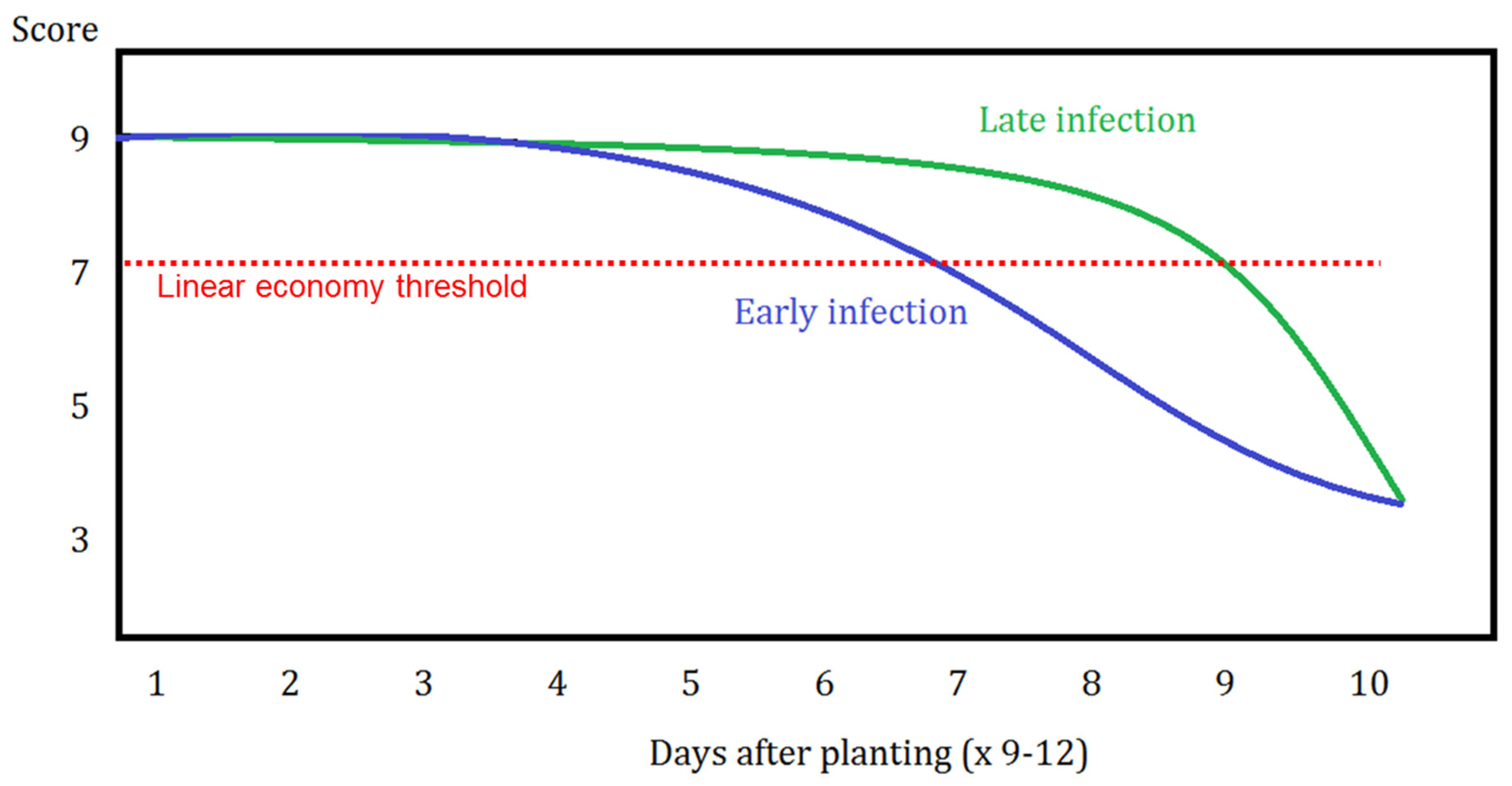 Agronomy 15 00328 g005