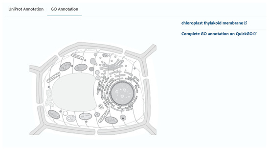 Agronomy 15 00351 g0a1