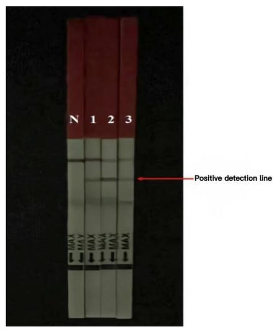 Agronomy 15 00351 g0a5