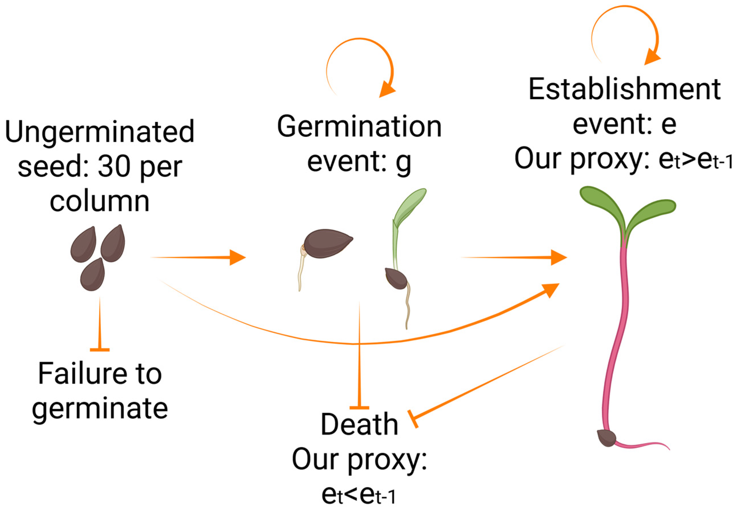 Agronomy 15 00360 g001 Agronomy 15 00360 g001