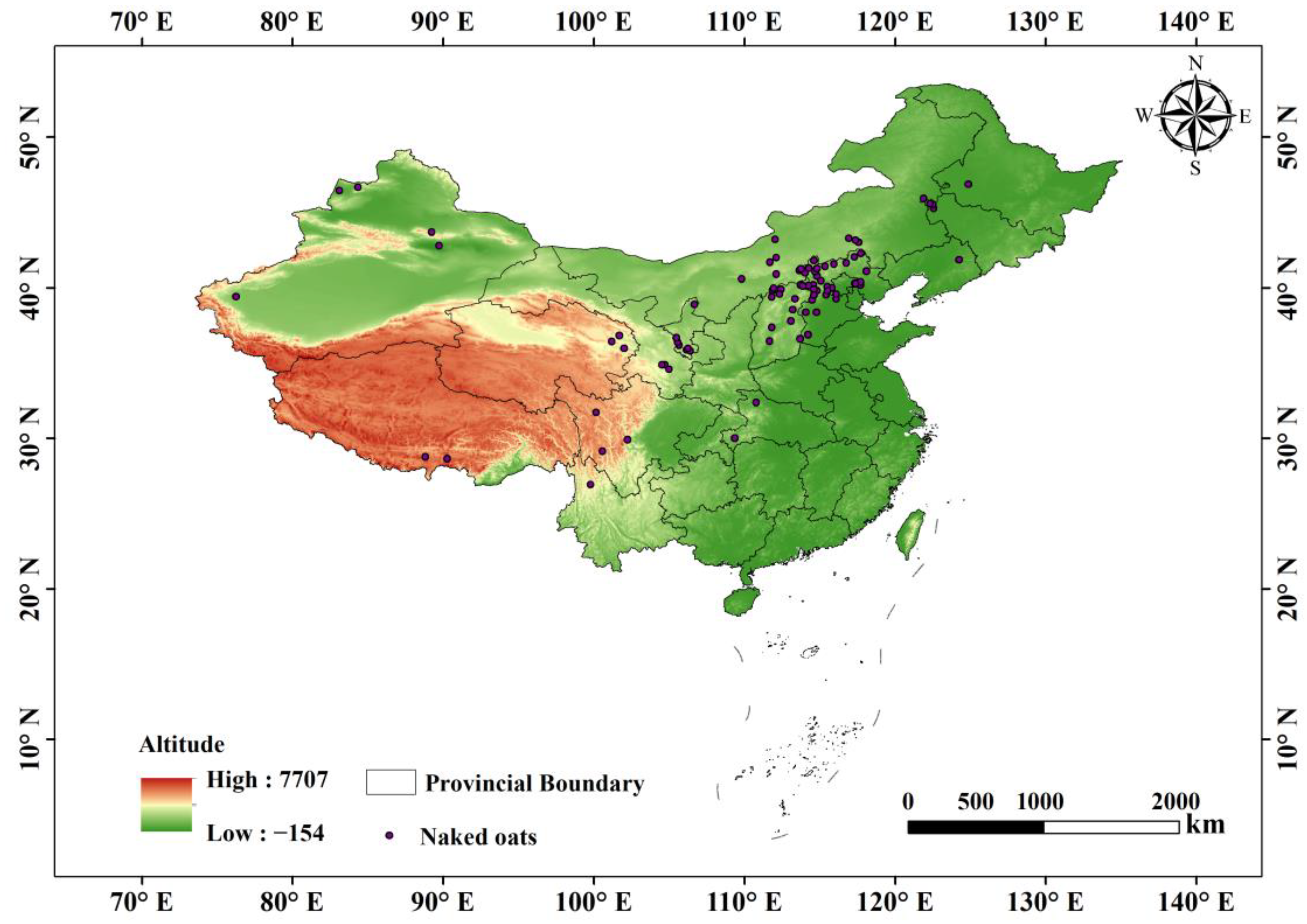 Agronomy 15 00362 g001