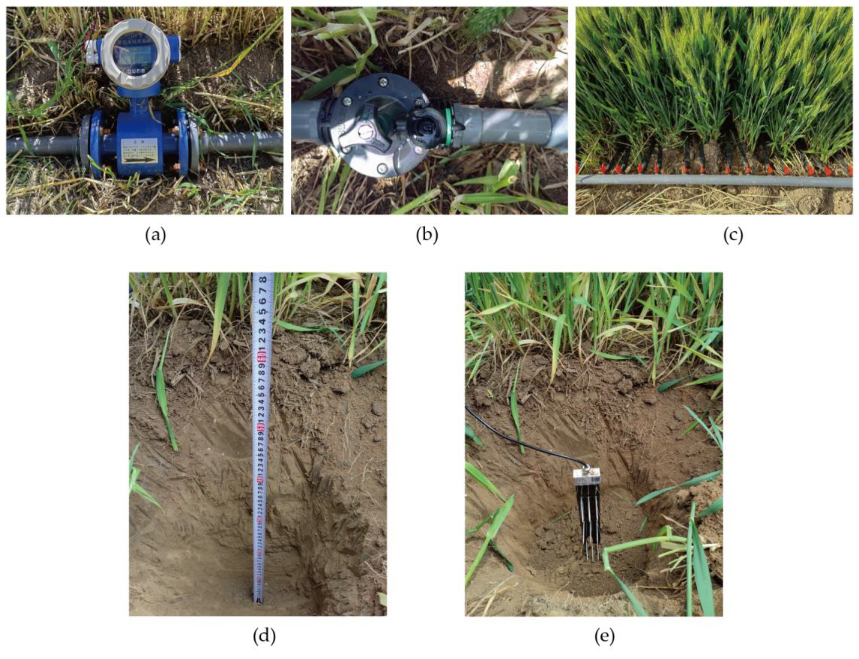 Agronomy 15 00366 g014