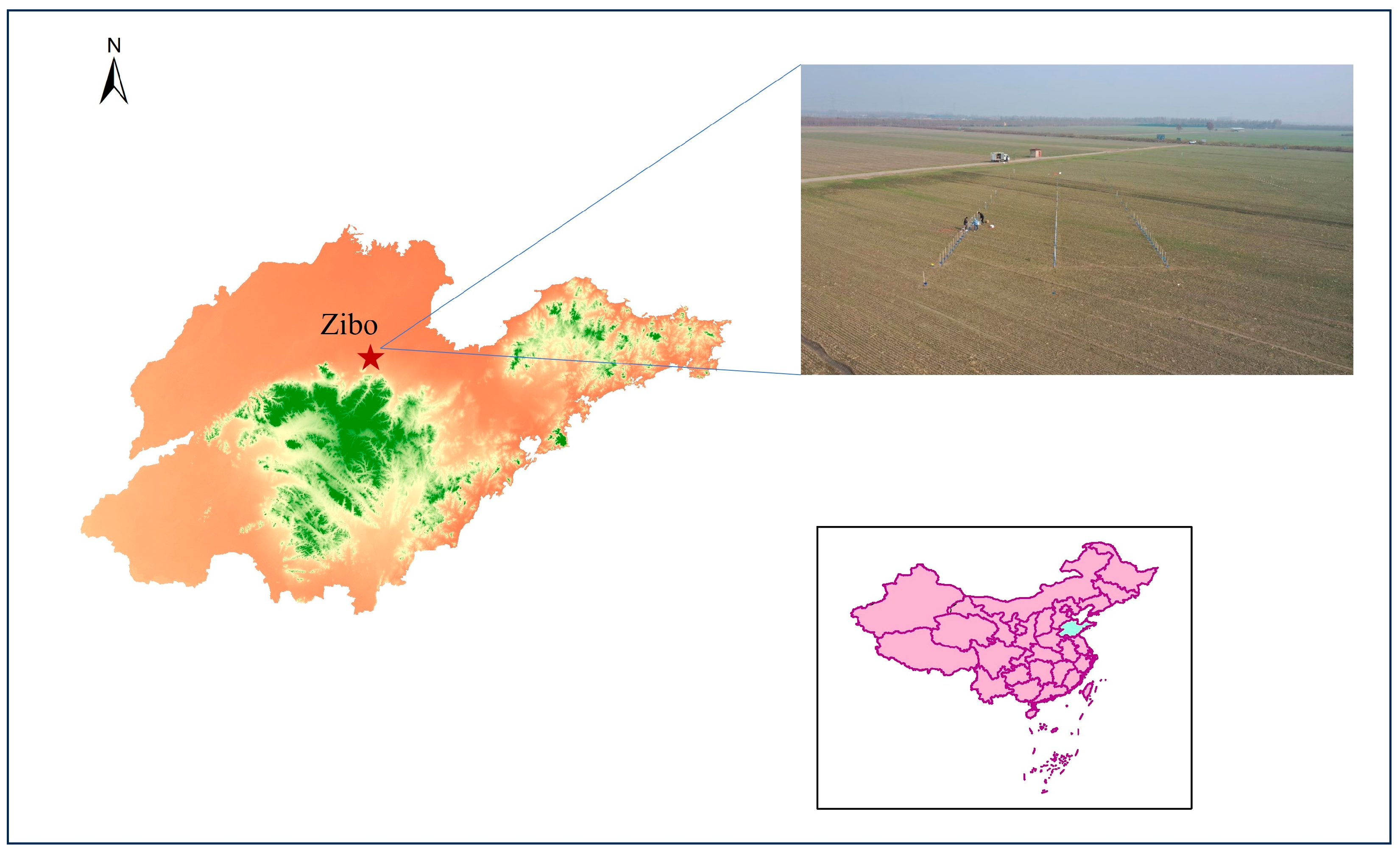 Agronomy 15 00367 g001