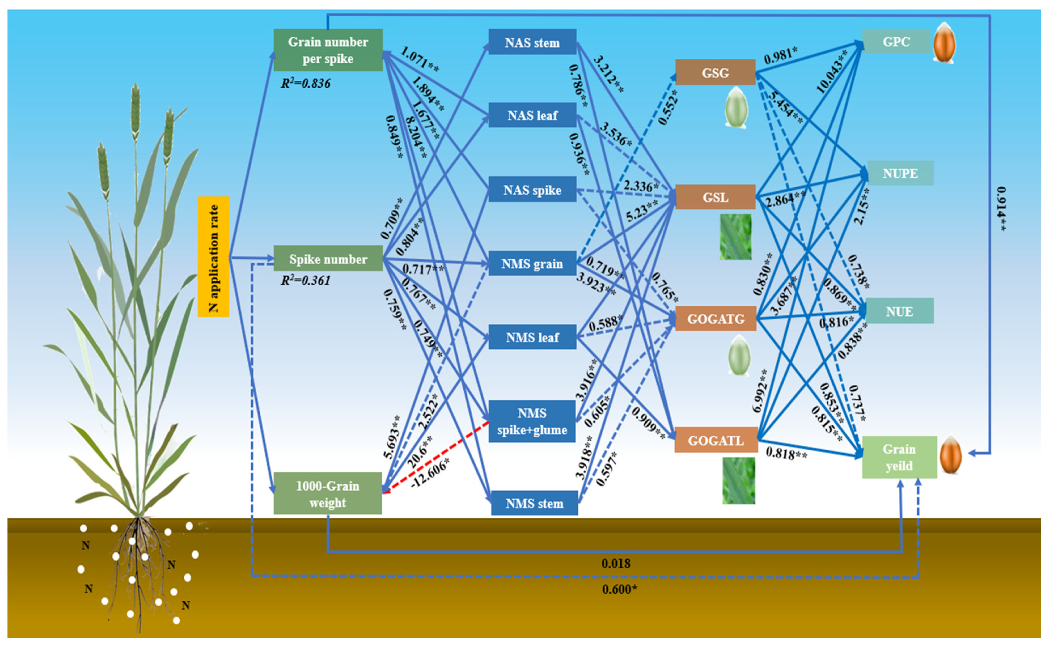 Agronomy 15 00369 g010