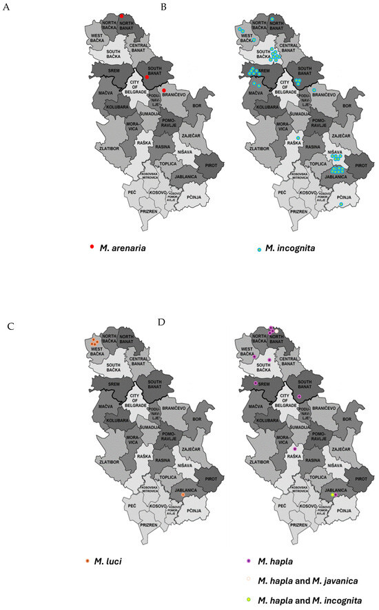 Agronomy 15 00372 g003