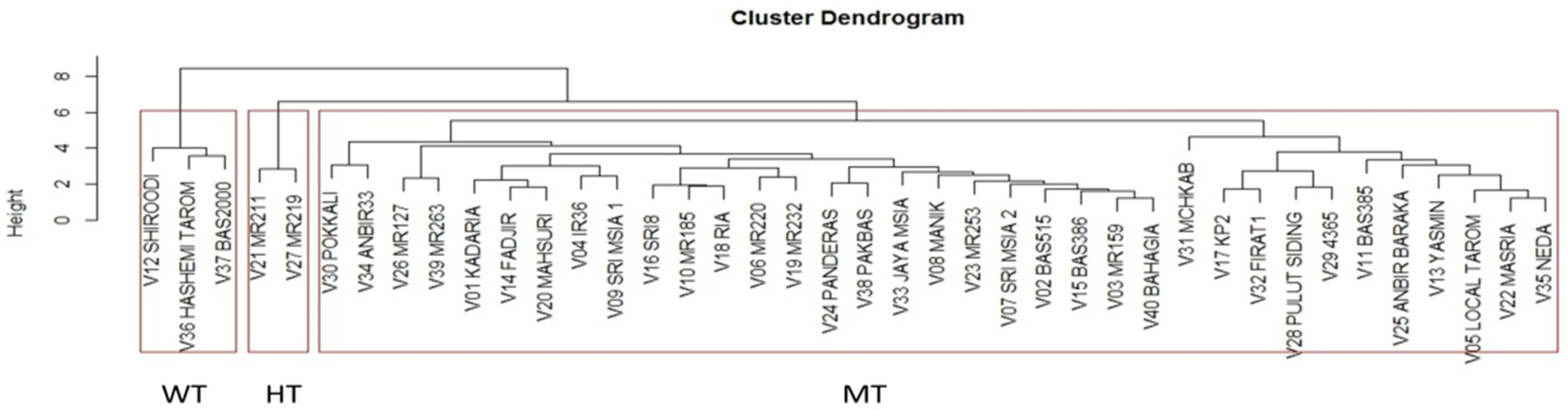 Agronomy 15 00376 g003