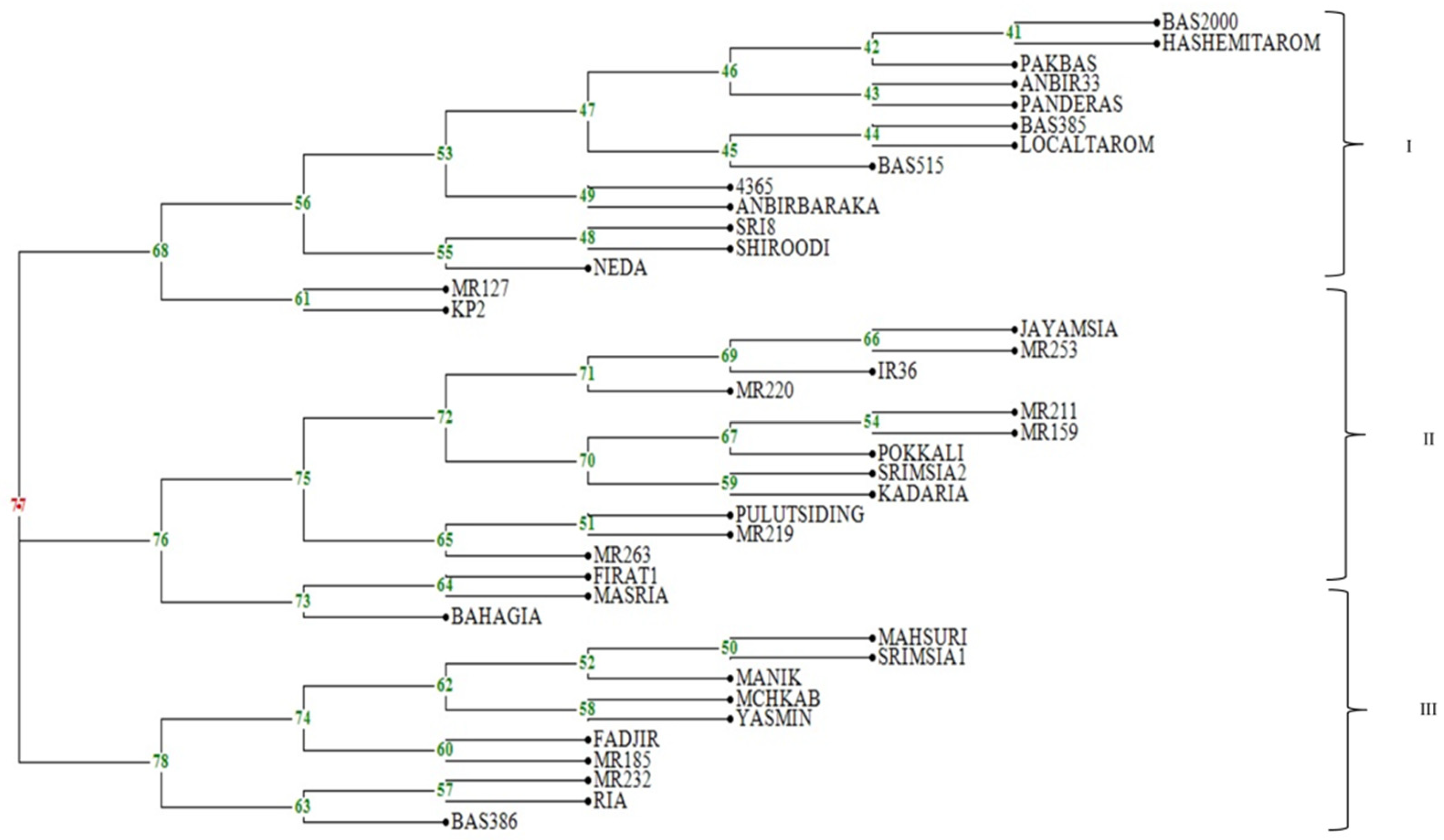 Agronomy 15 00376 g005