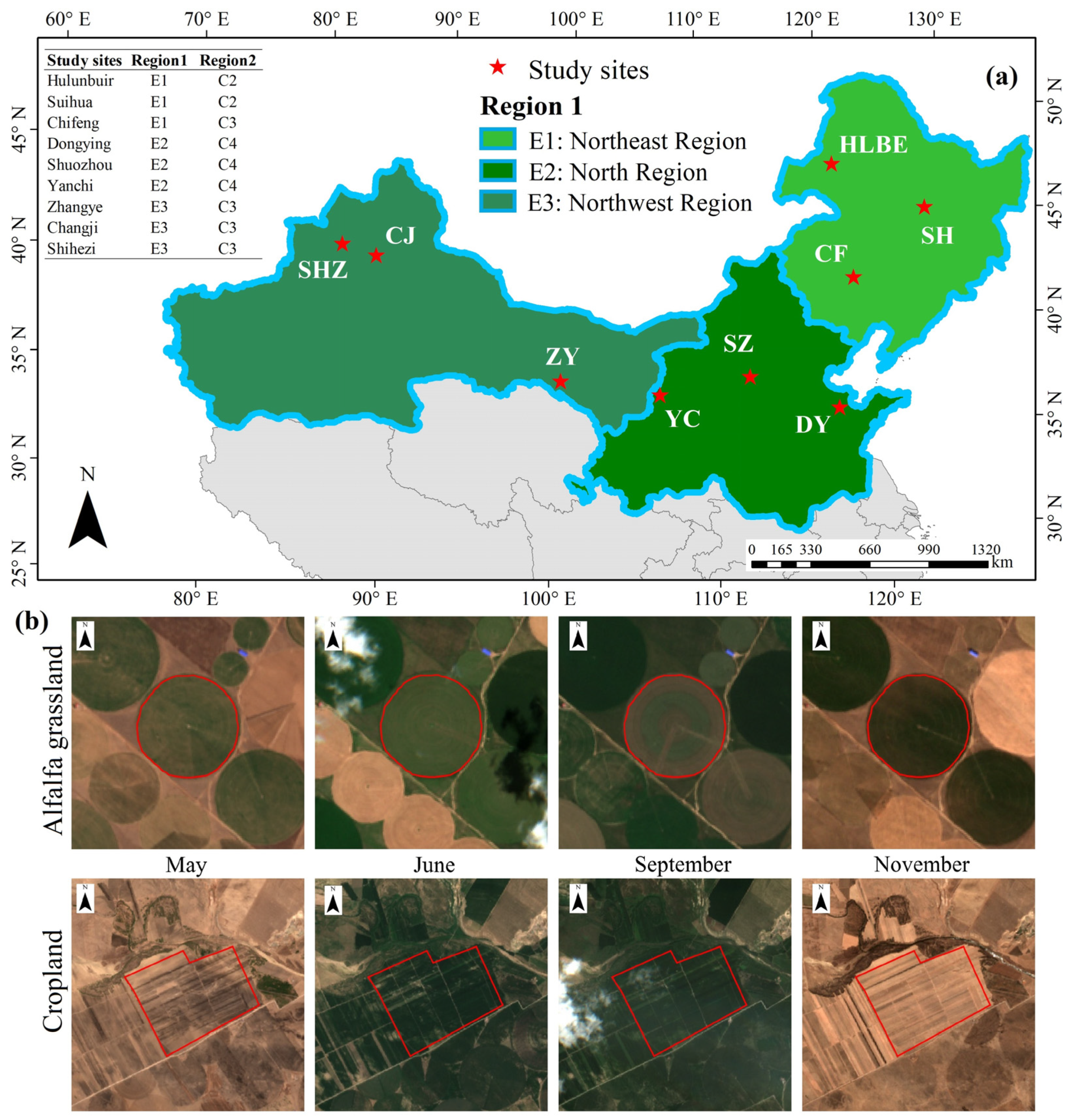 Agronomy 15 00387 g001