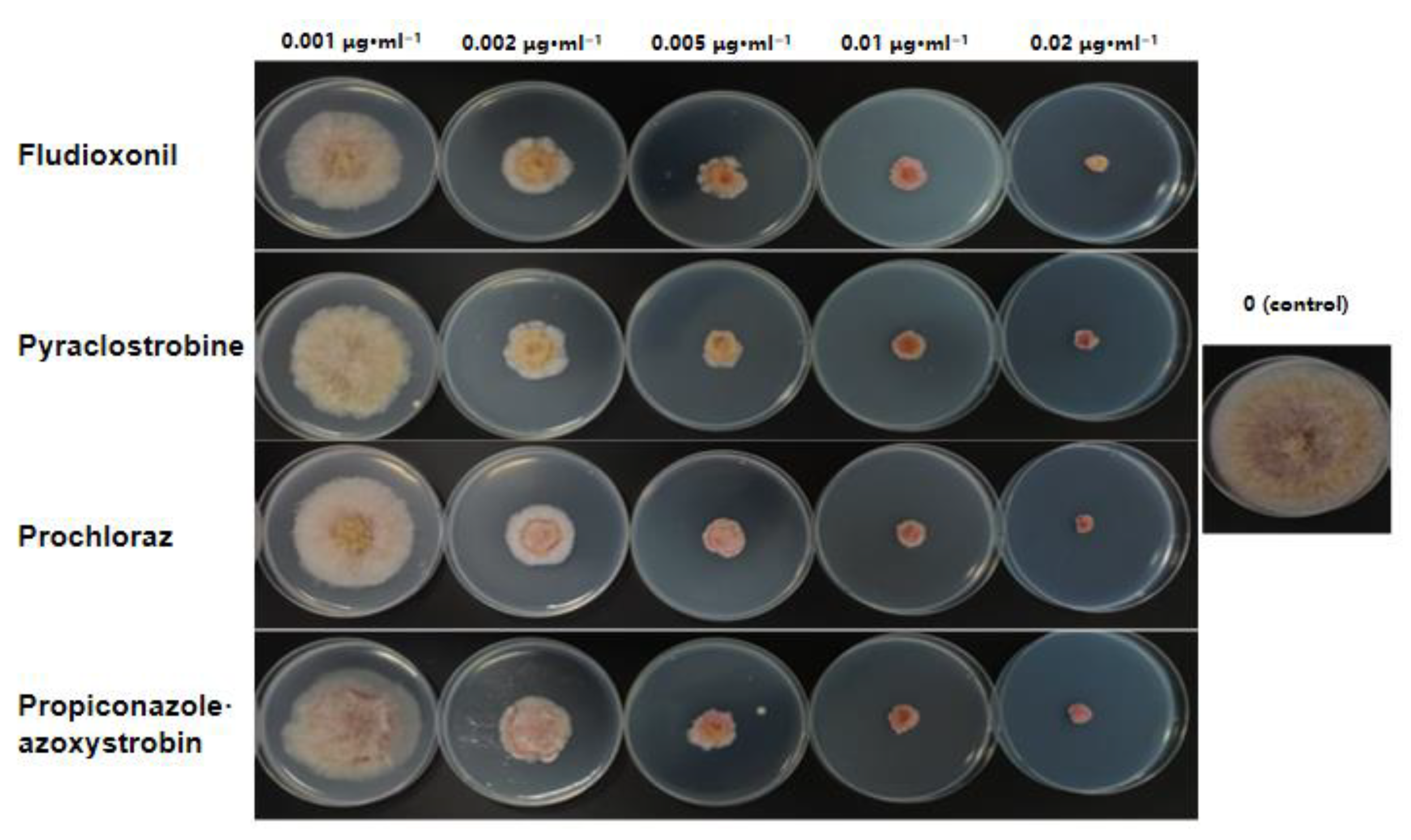 Agronomy 15 00388 g007