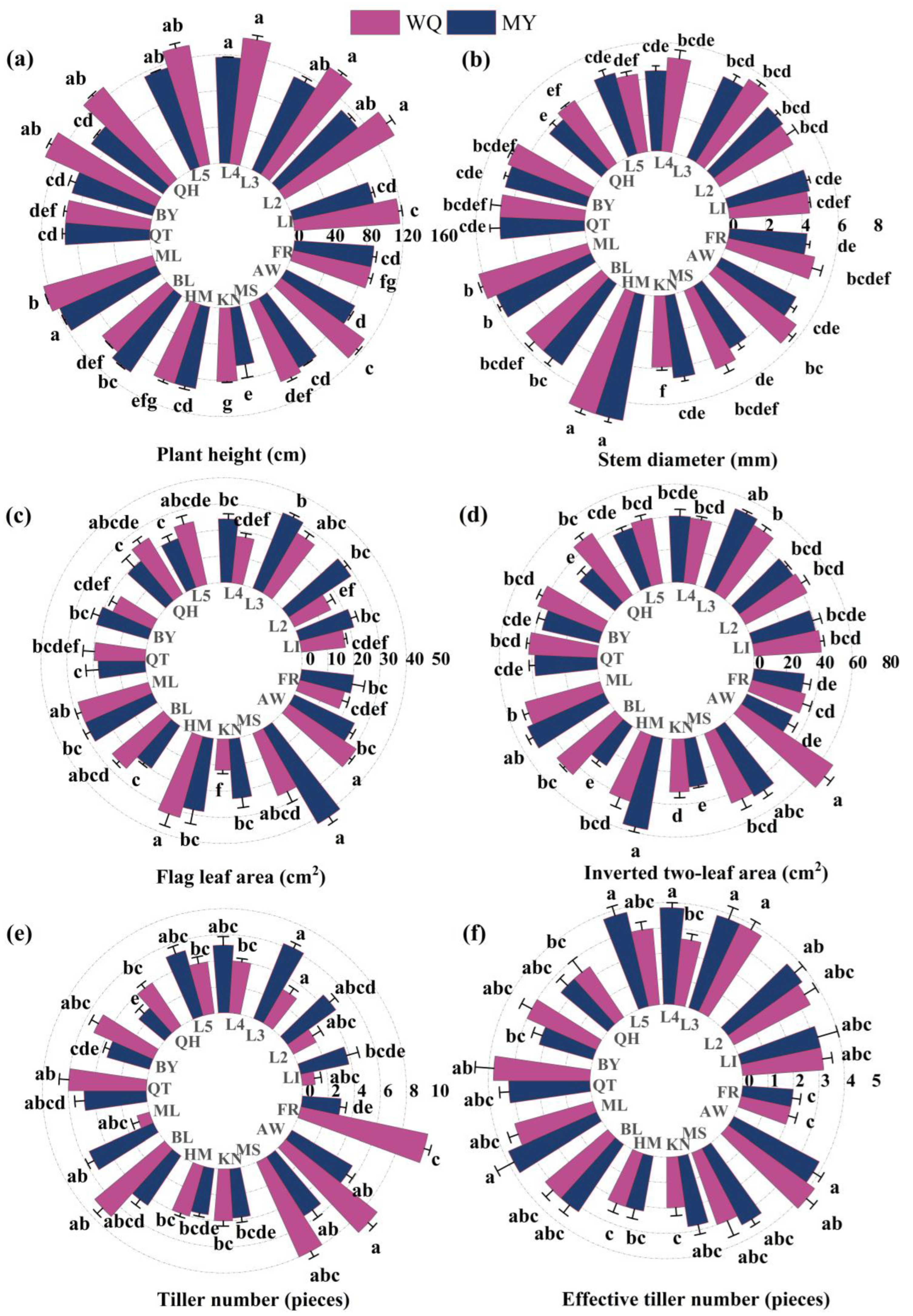Agronomy 15 00391 g001 Agronomy 15 00391 g001