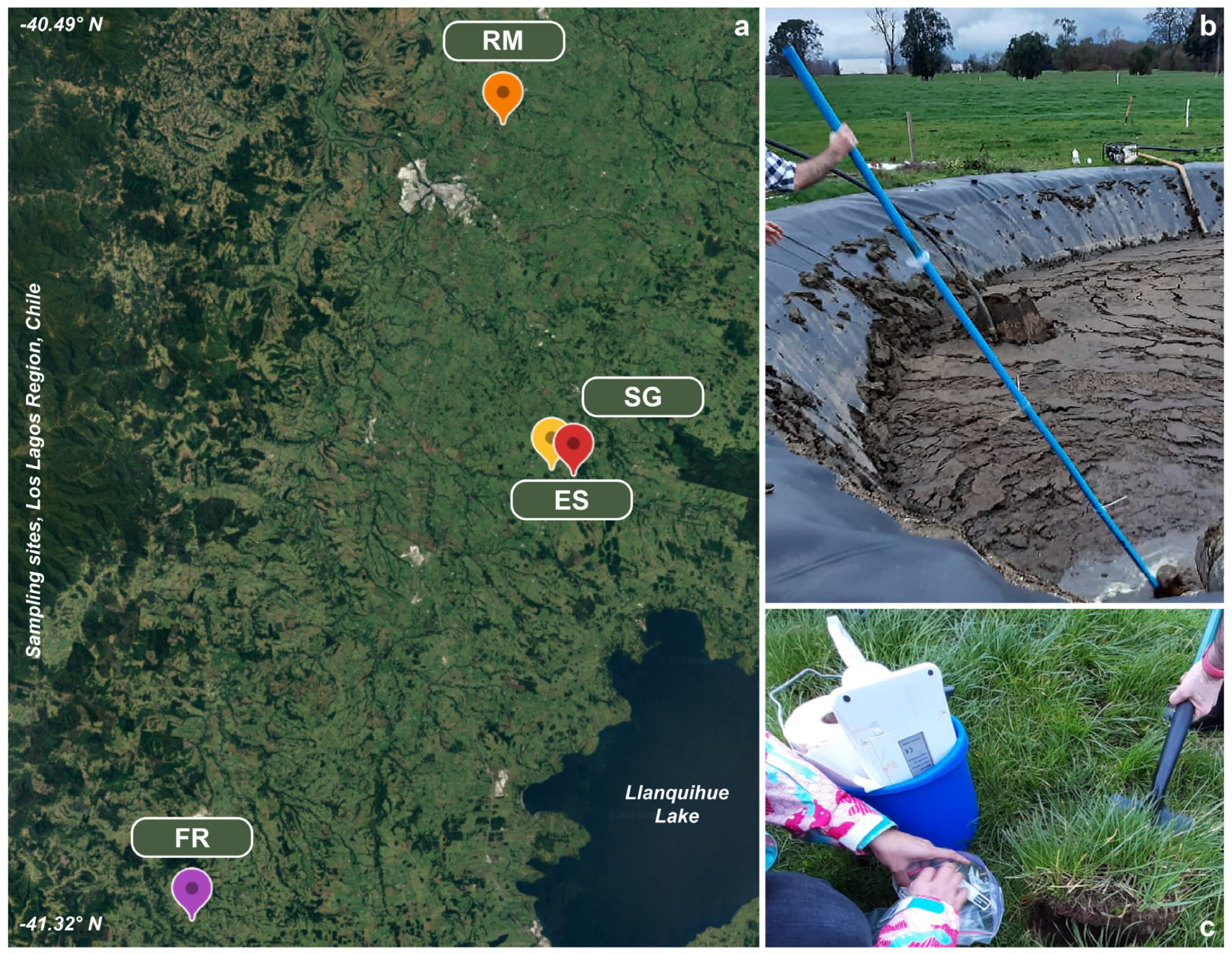 Agronomy 15 00397 g001