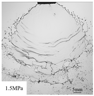 Agronomy 15 00409 i001