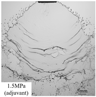 Agronomy 15 00409 i002