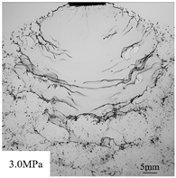 Agronomy 15 00409 i003