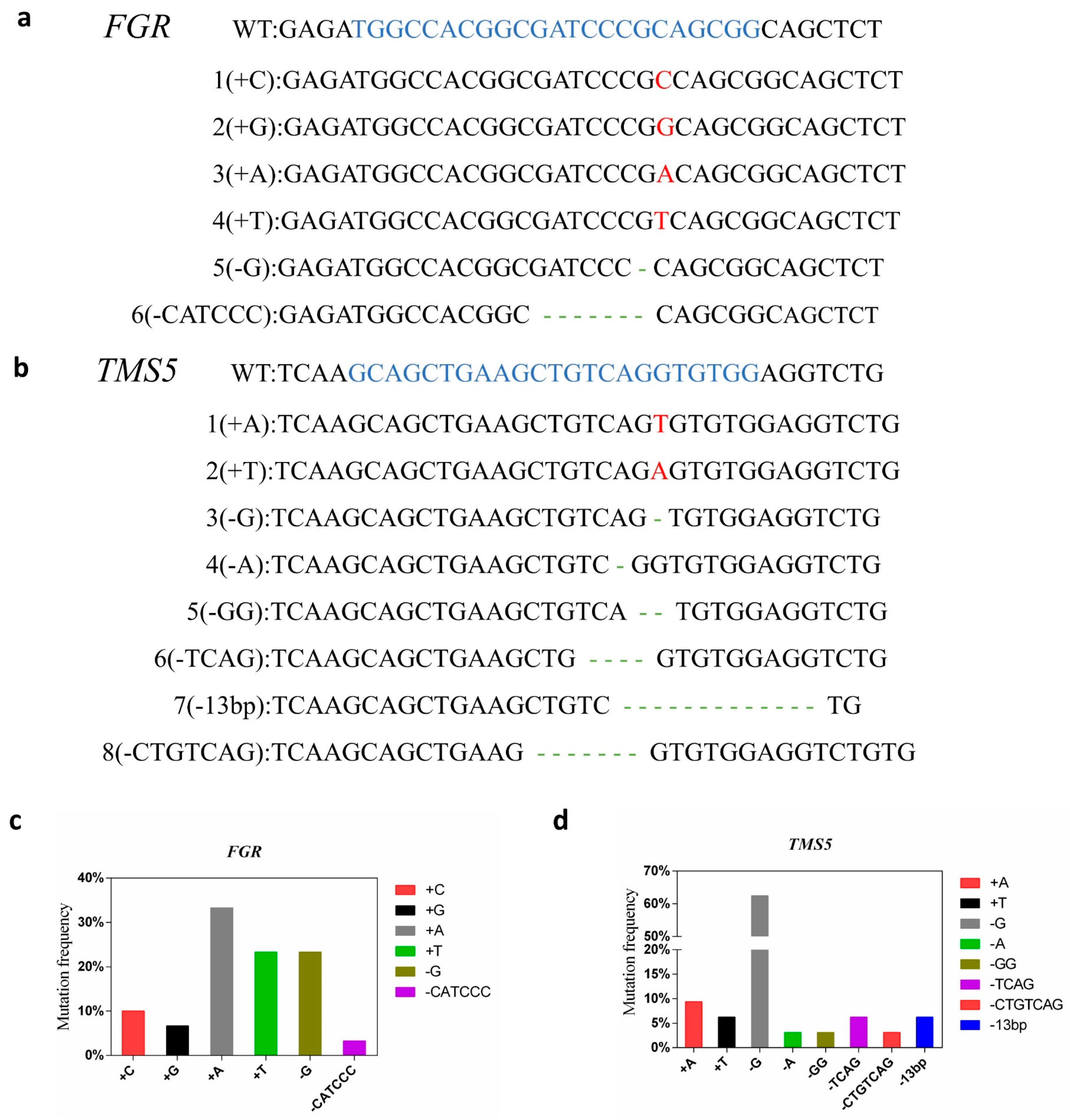 Agronomy 15 00411 g002