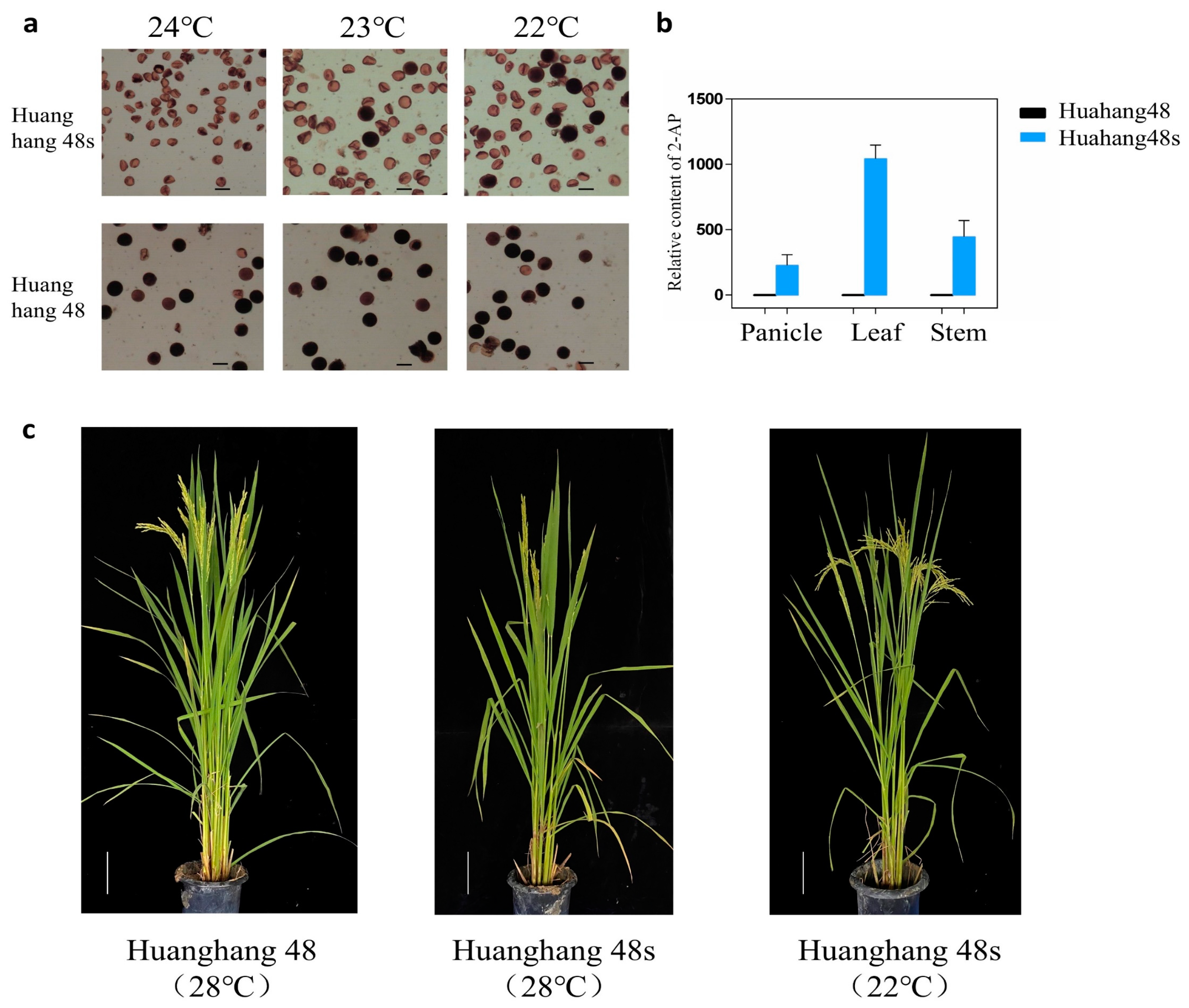 Agronomy 15 00411 g004