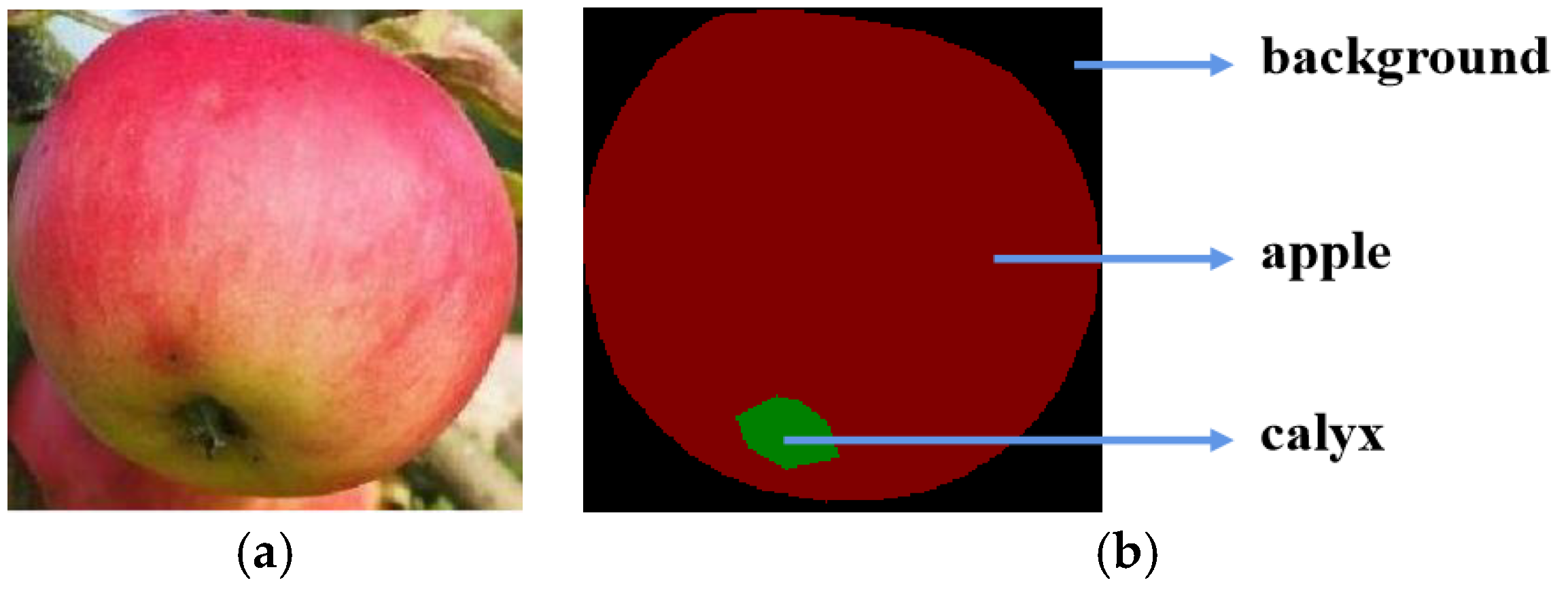 Agronomy 15 00413 g002