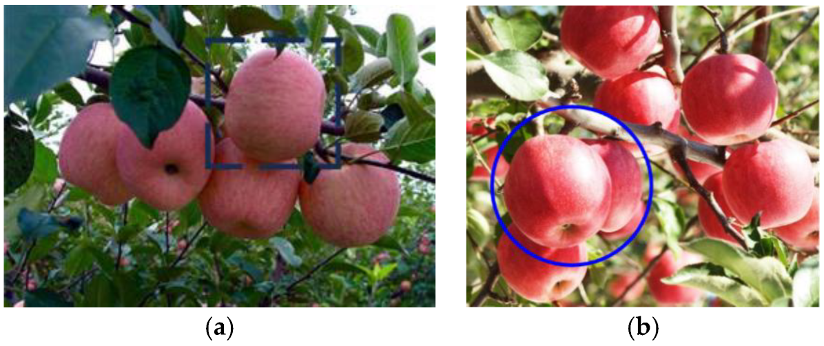 Agronomy 15 00413 g003