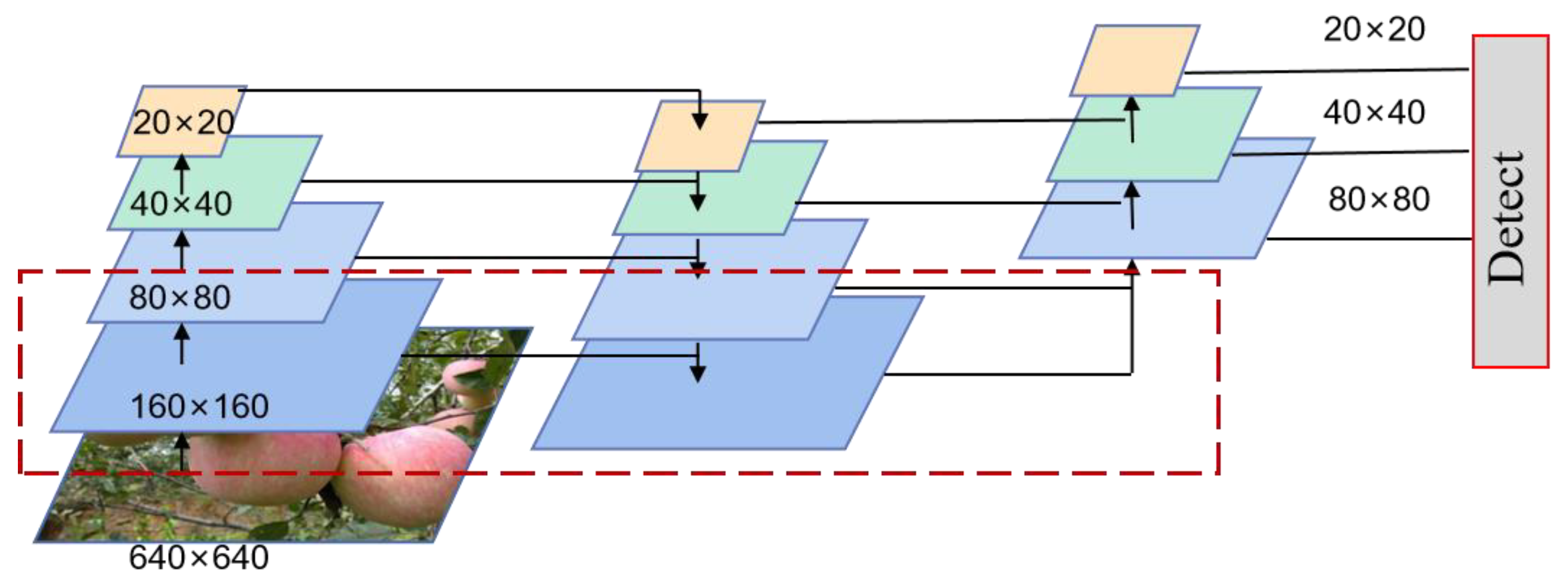 Agronomy 15 00413 g005