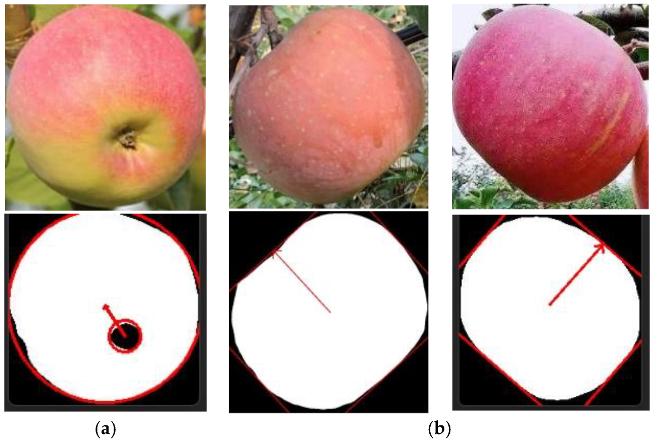 Agronomy 15 00413 g009