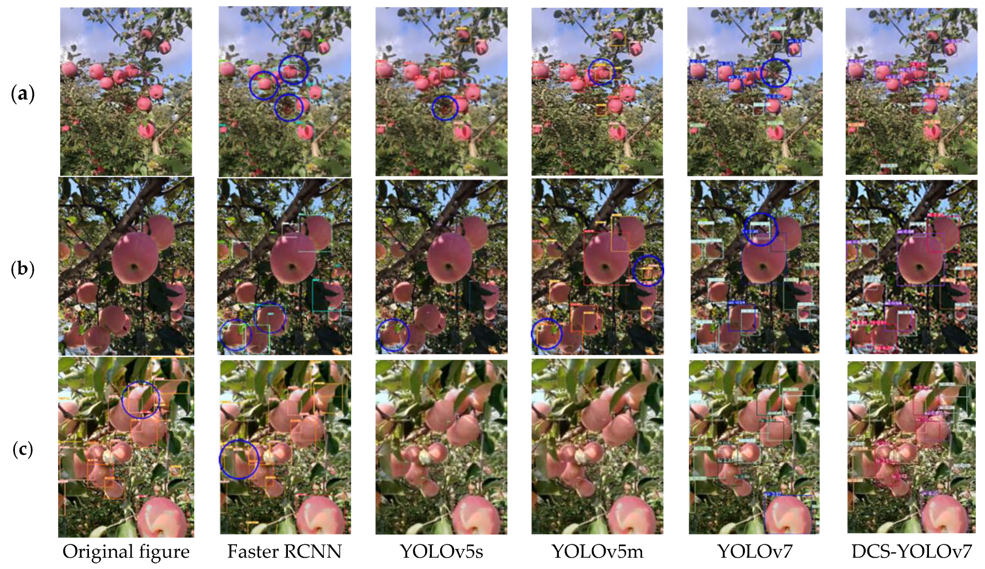 Agronomy 15 00413 g011