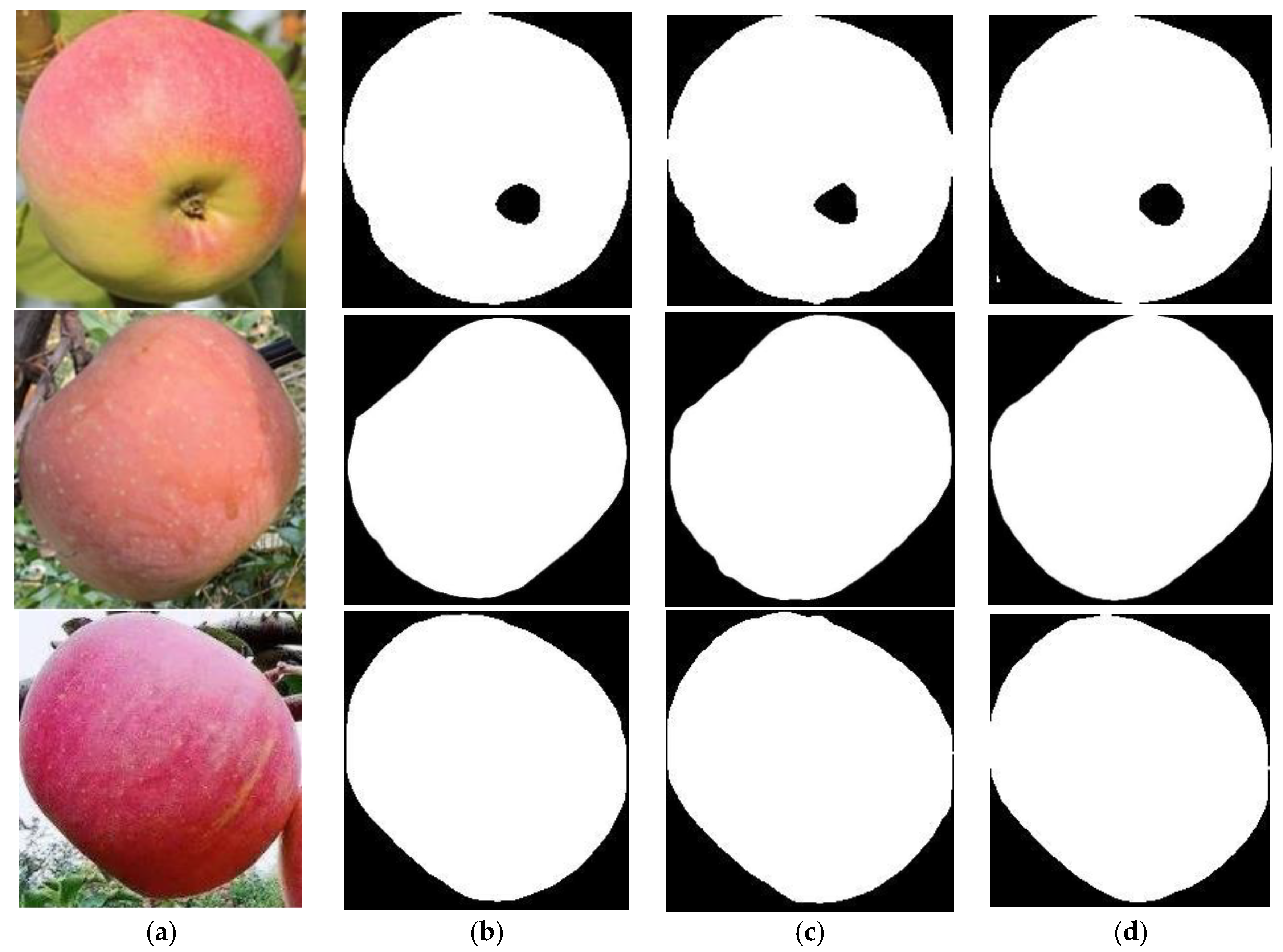 Agronomy 15 00413 g012