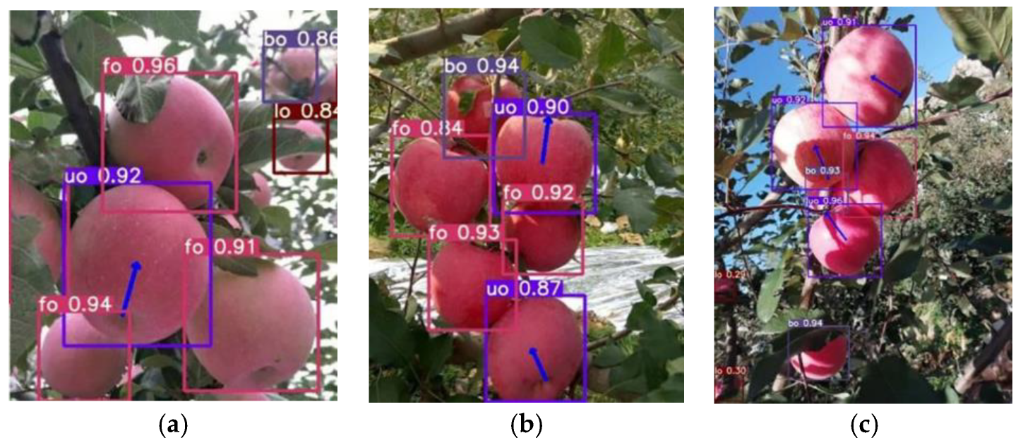 Agronomy 15 00413 g013
