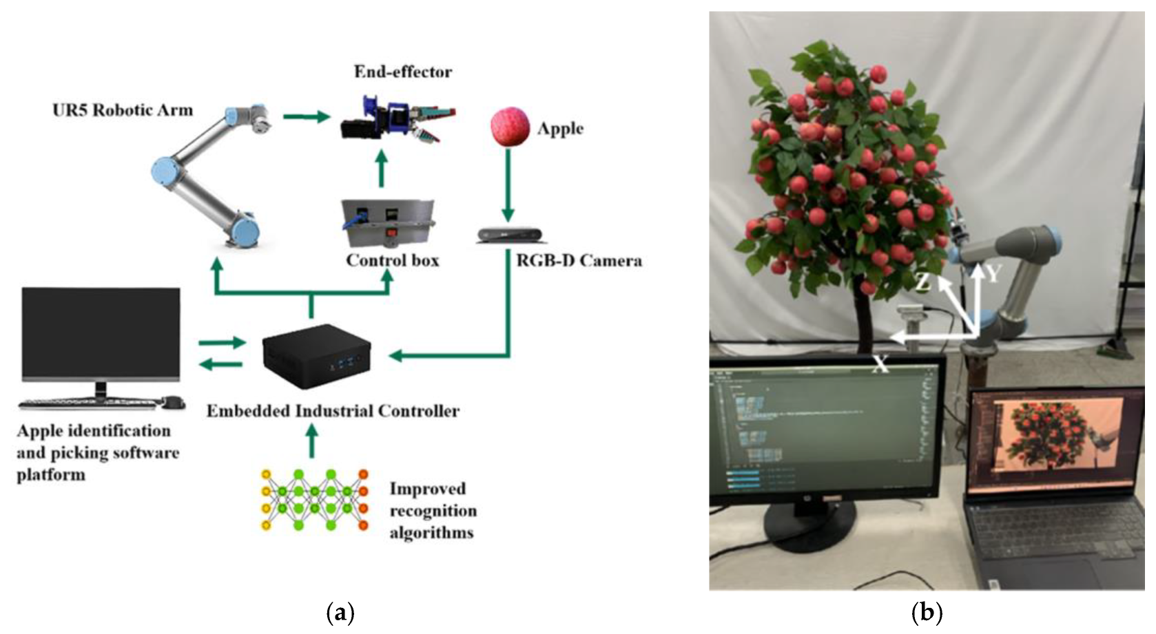 Agronomy 15 00413 g015