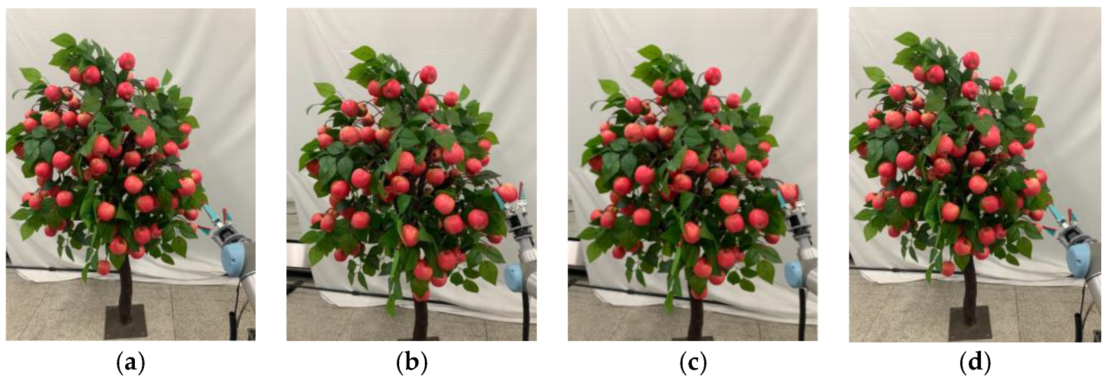 Agronomy 15 00413 g016