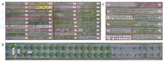 Agronomy 15 00421 g0a1