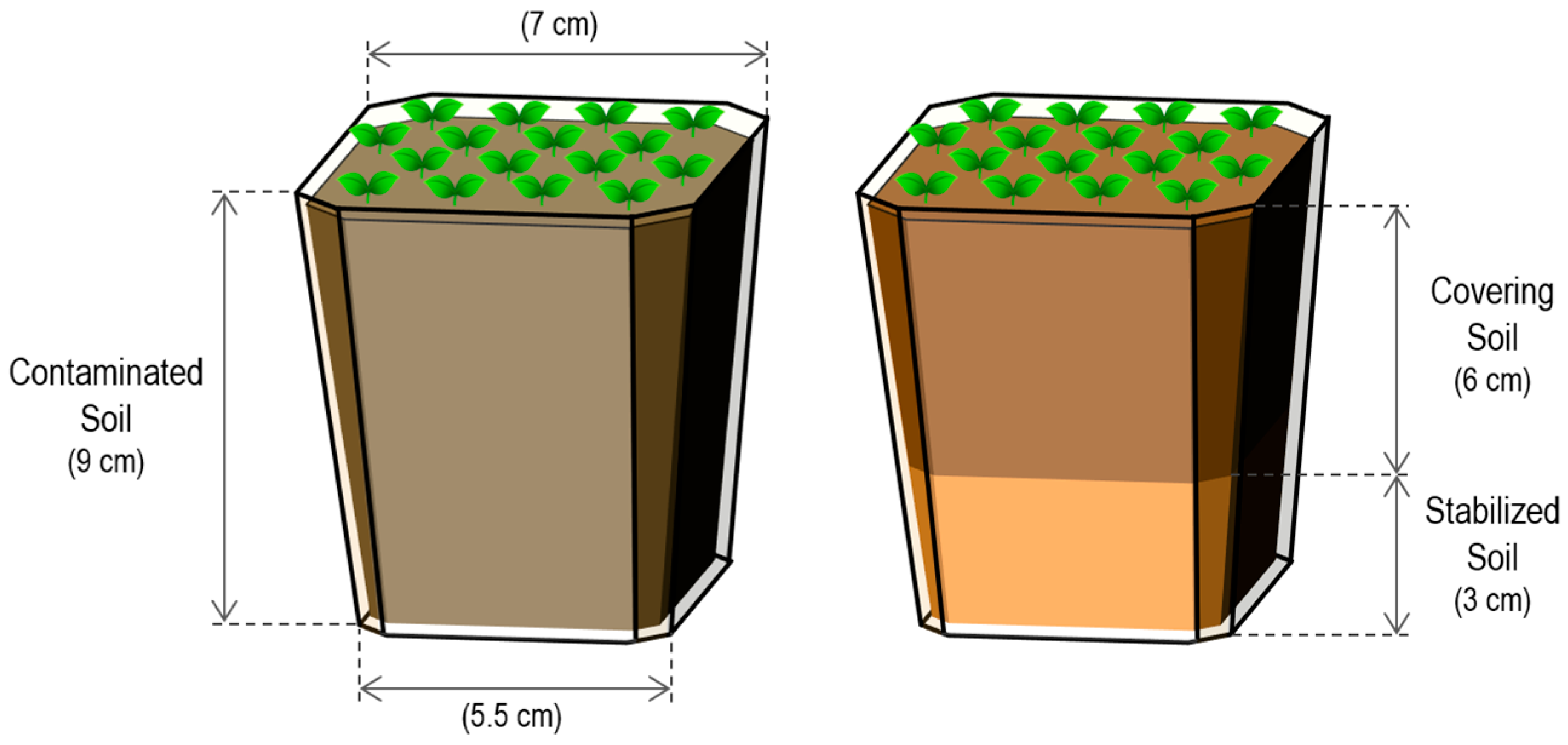 Agronomy 15 00423 g002 Agronomy 15 00423 g002