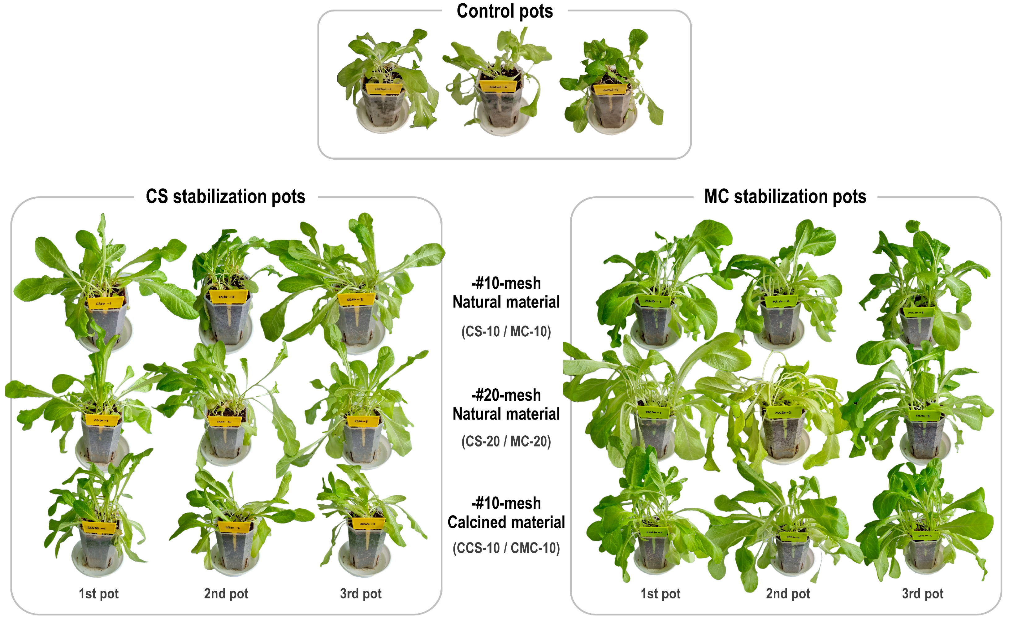 Agronomy 15 00423 g011 Agronomy 15 00423 g011