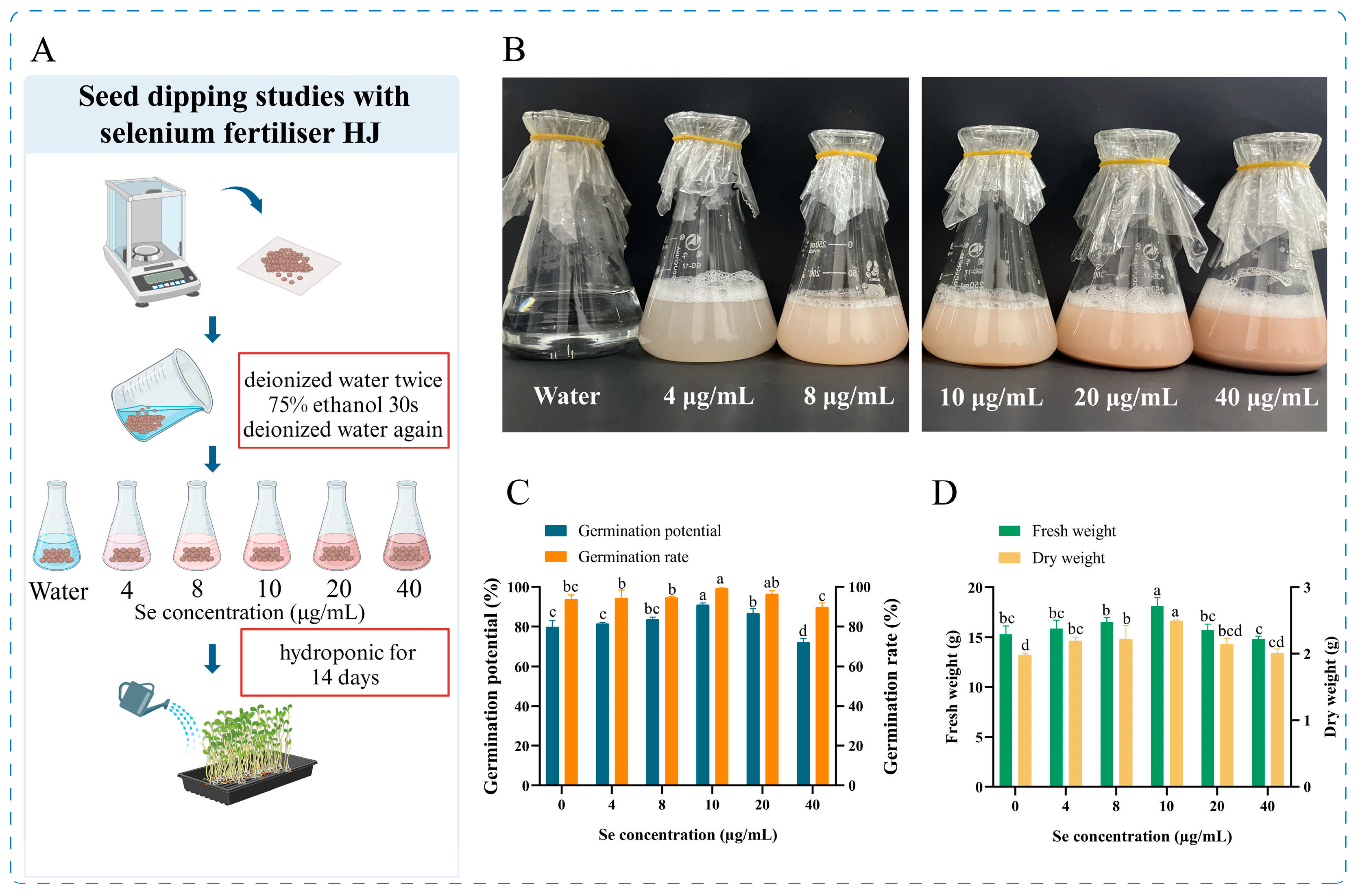 Agronomy 15 00430 g002
