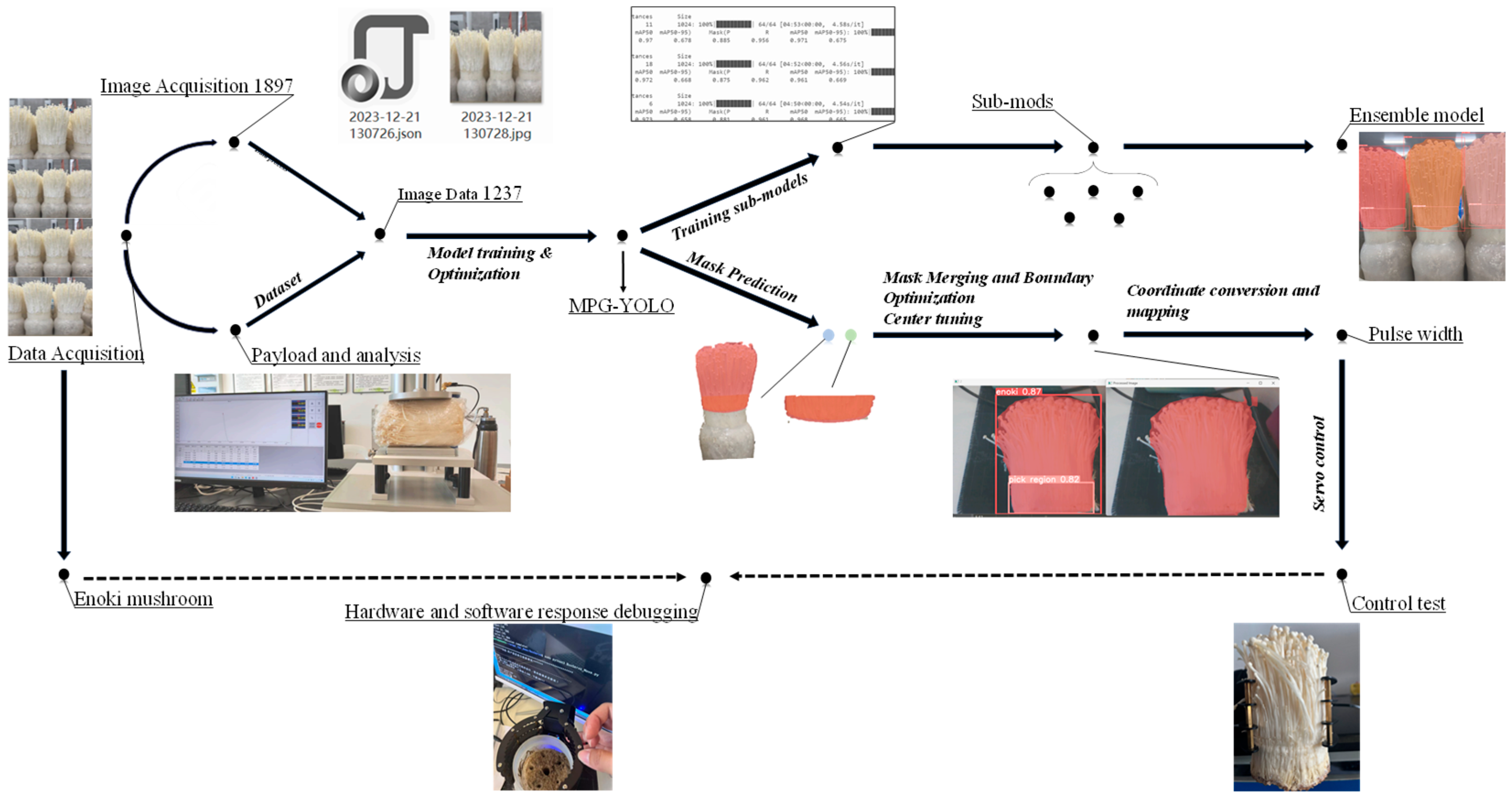 Agronomy 15 00432 g001