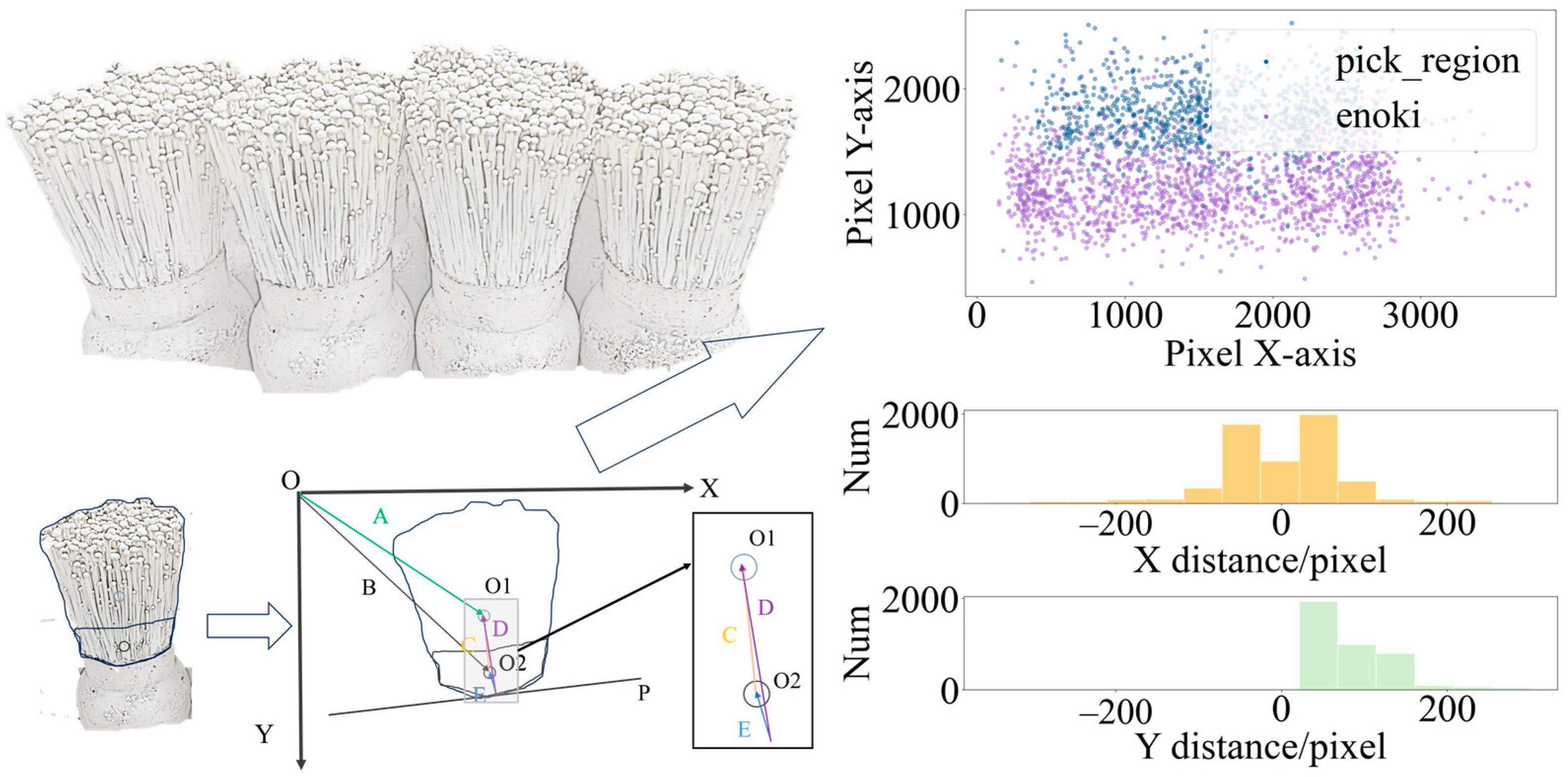 Agronomy 15 00432 g004