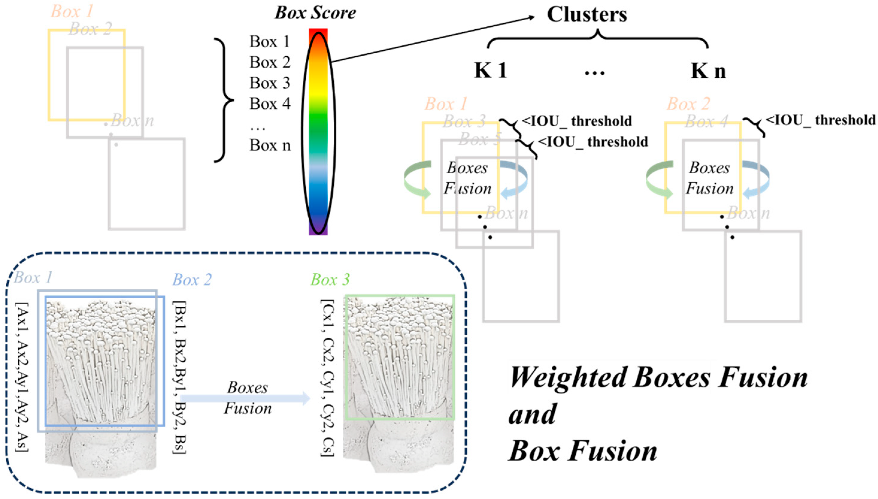 Agronomy 15 00432 g010