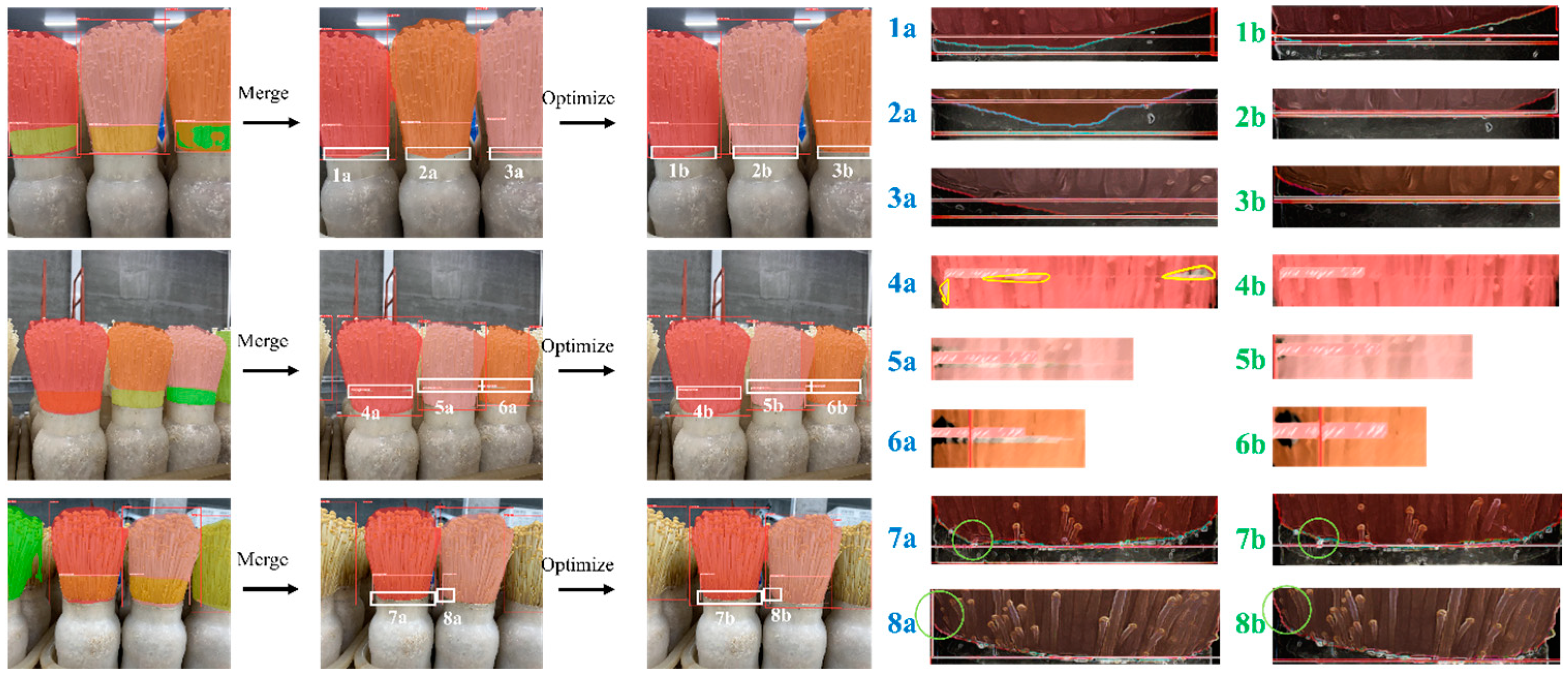 Agronomy 15 00432 g017