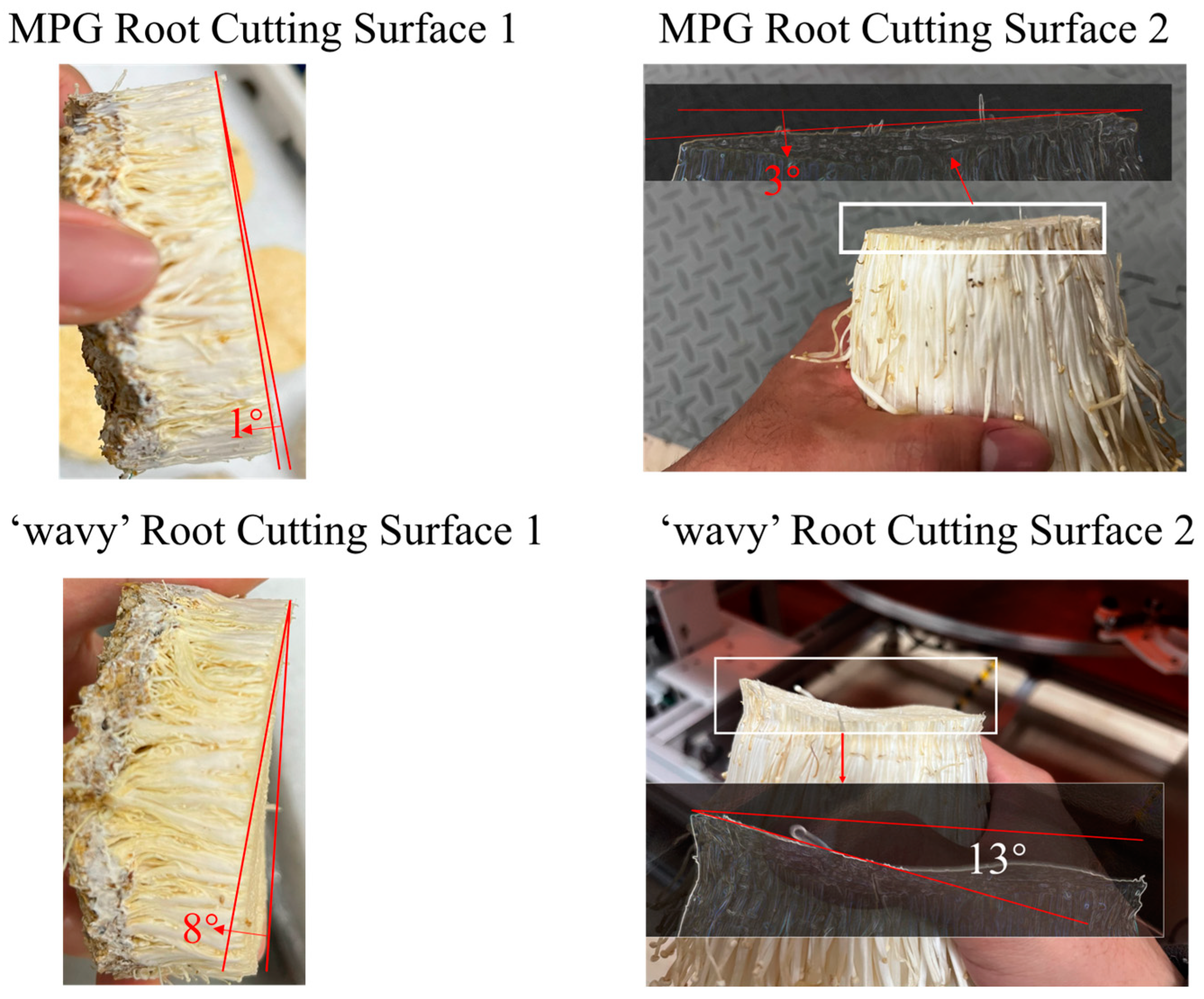 Agronomy 15 00432 g020