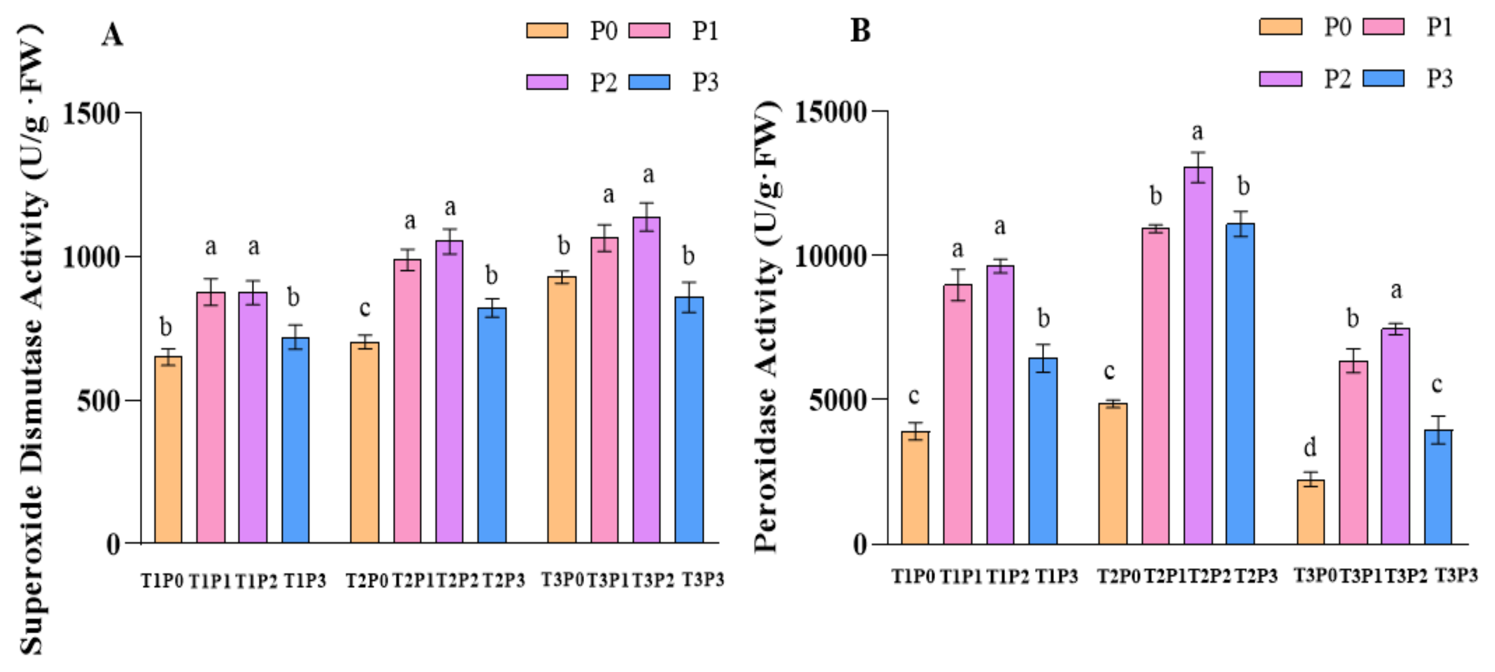 Agronomy 15 00444 g003