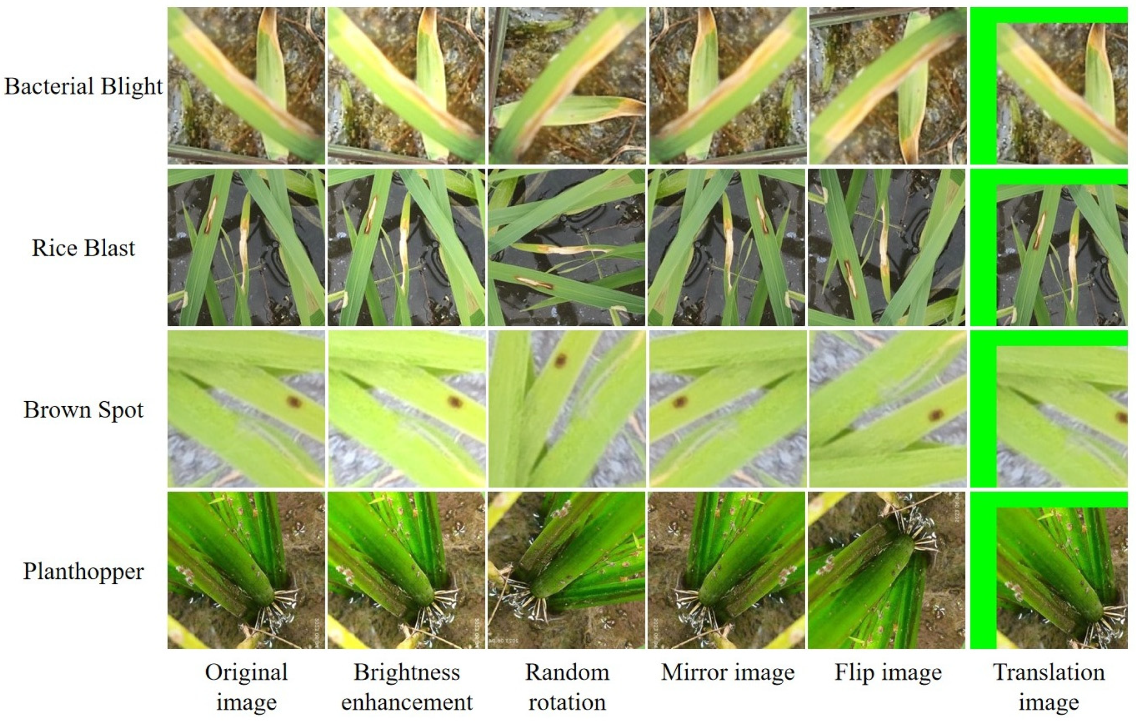 Agronomy 15 00445 g001 Agronomy 15 00445 g001