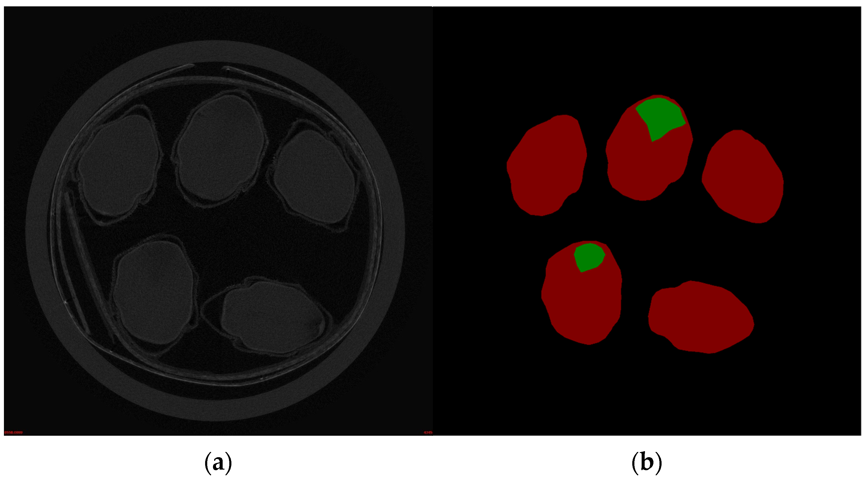 Agronomy 15 00450 g002